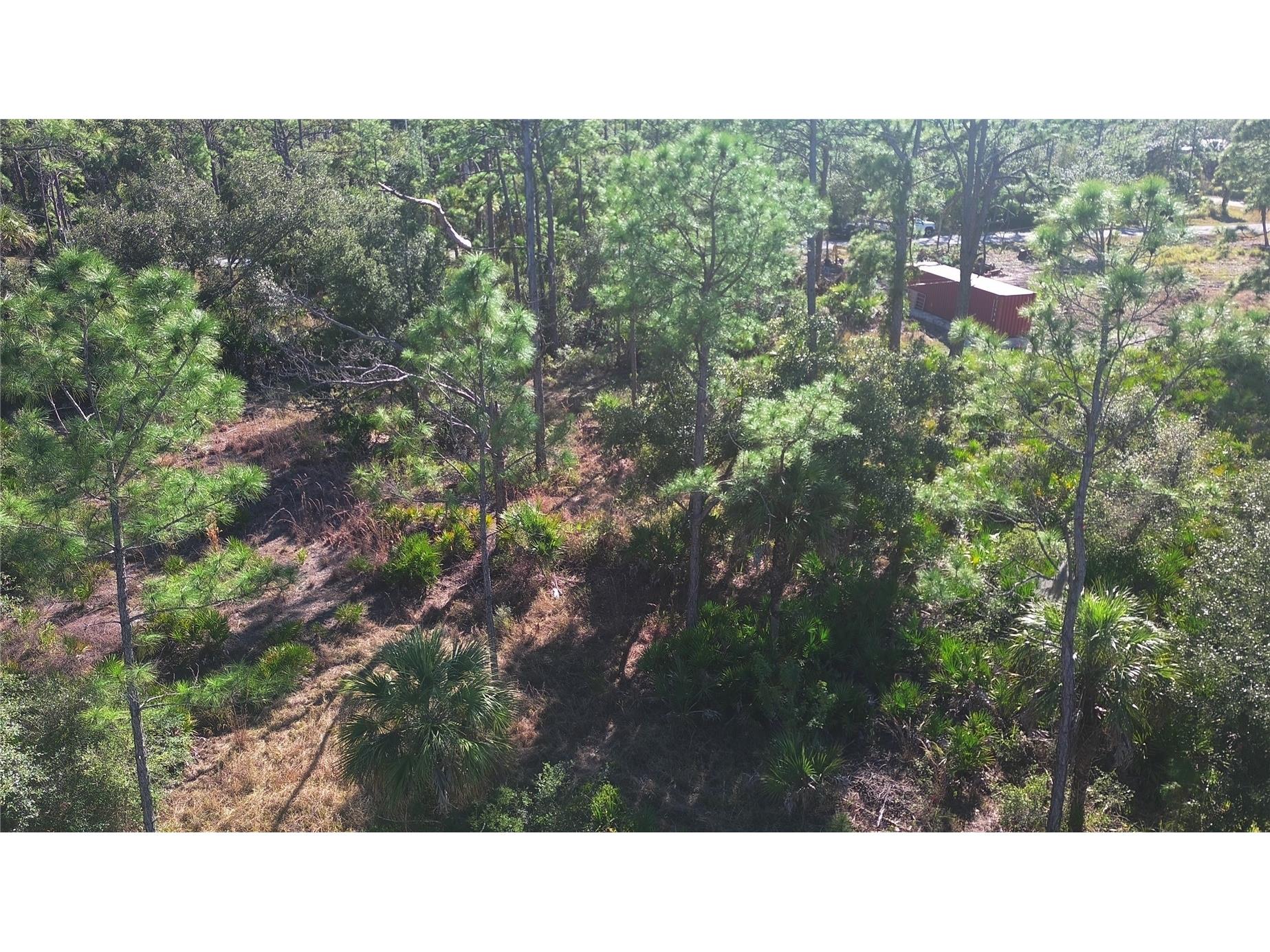 13093 Harbison Avenue Port Charlotte FL 33953 C7520249 image12