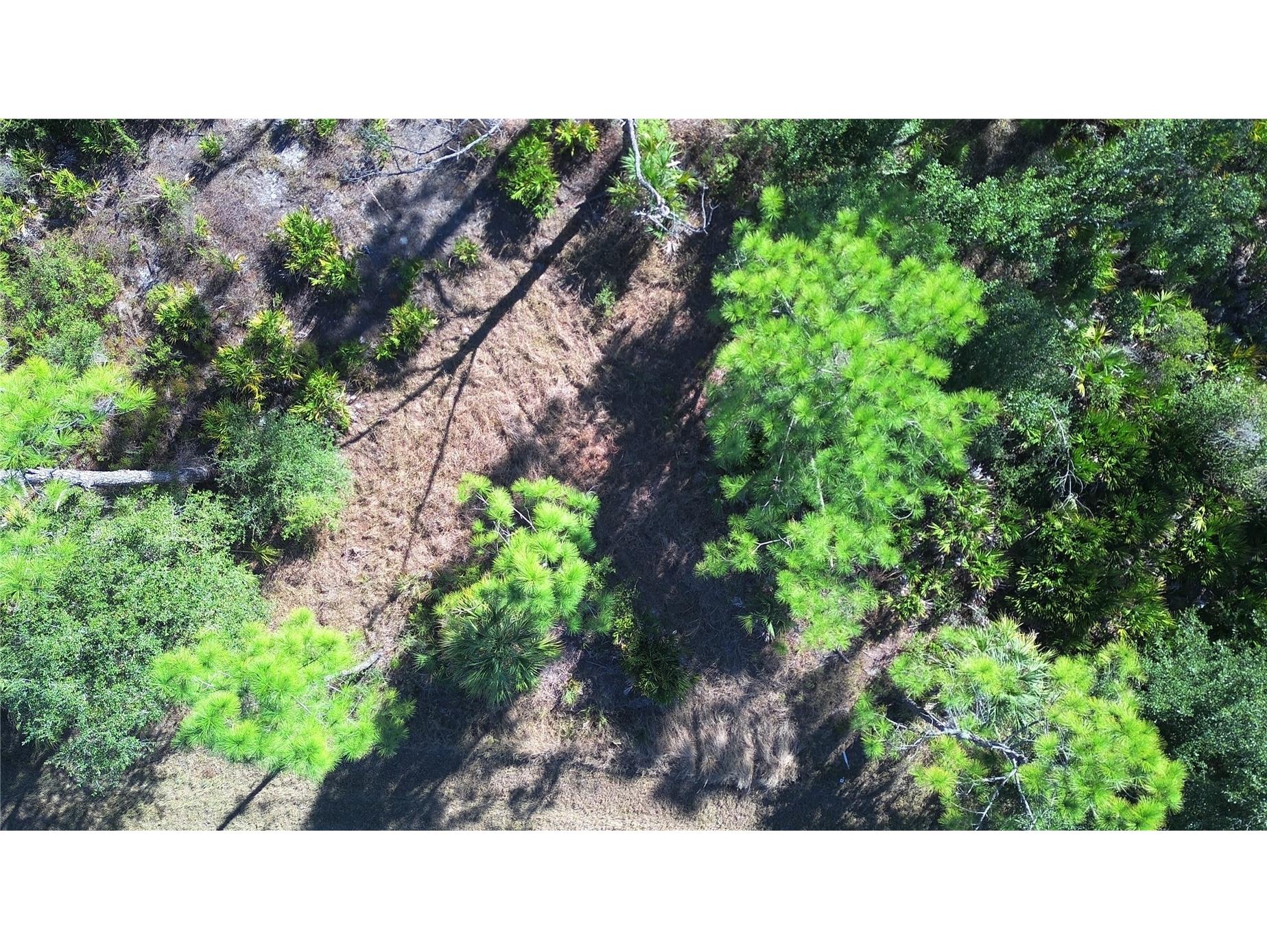 13093 Harbison Avenue Port Charlotte FL 33953 C7520249 image13