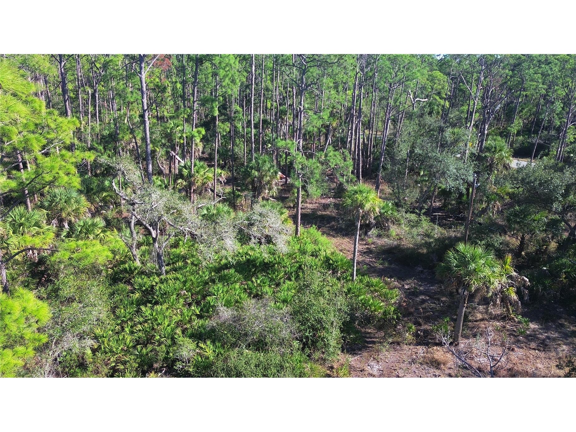 13093 Harbison Avenue Port Charlotte FL 33953 C7520249 image14