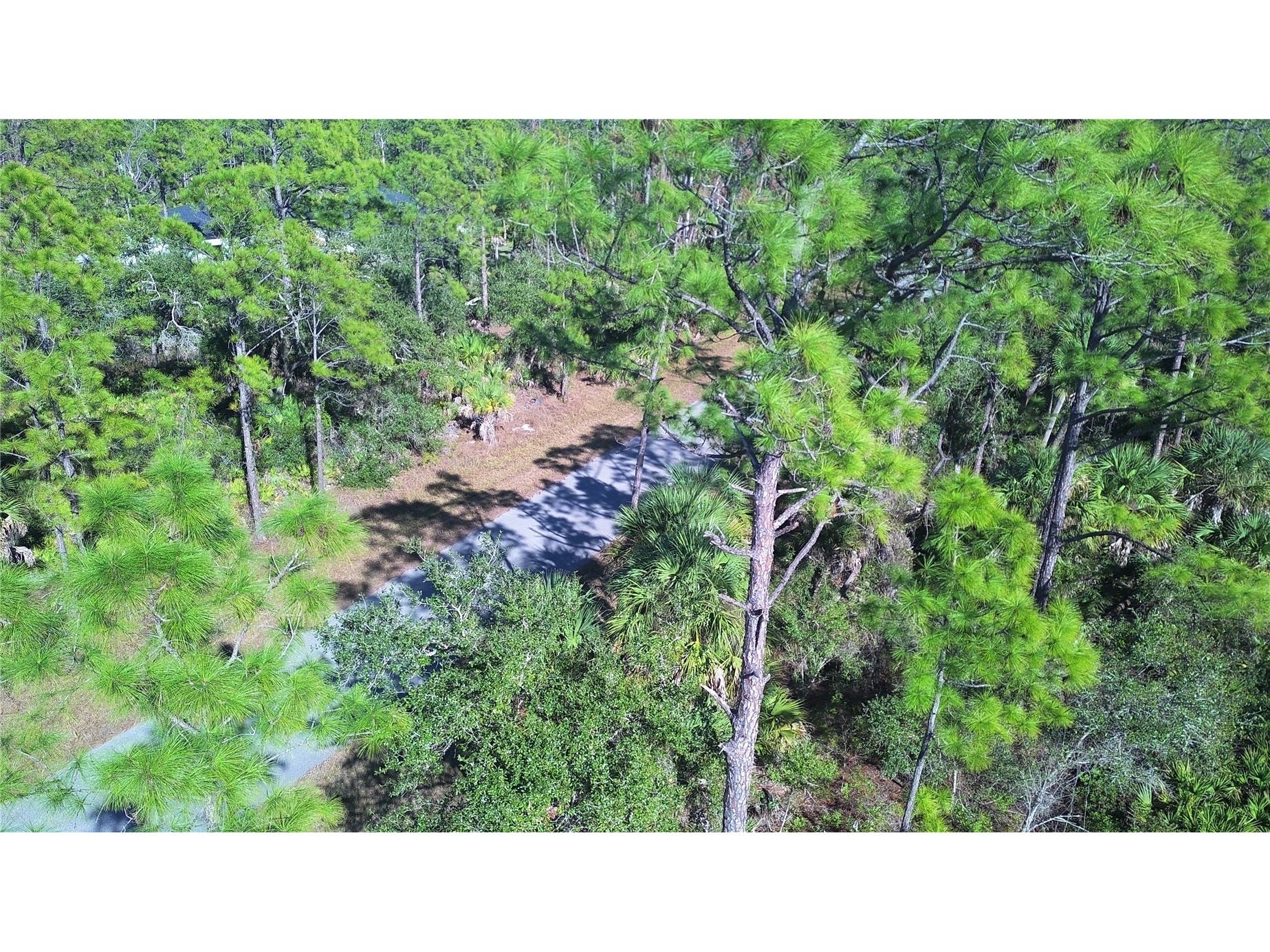 13093 Harbison Avenue Port Charlotte FL 33953 C7520249 image15