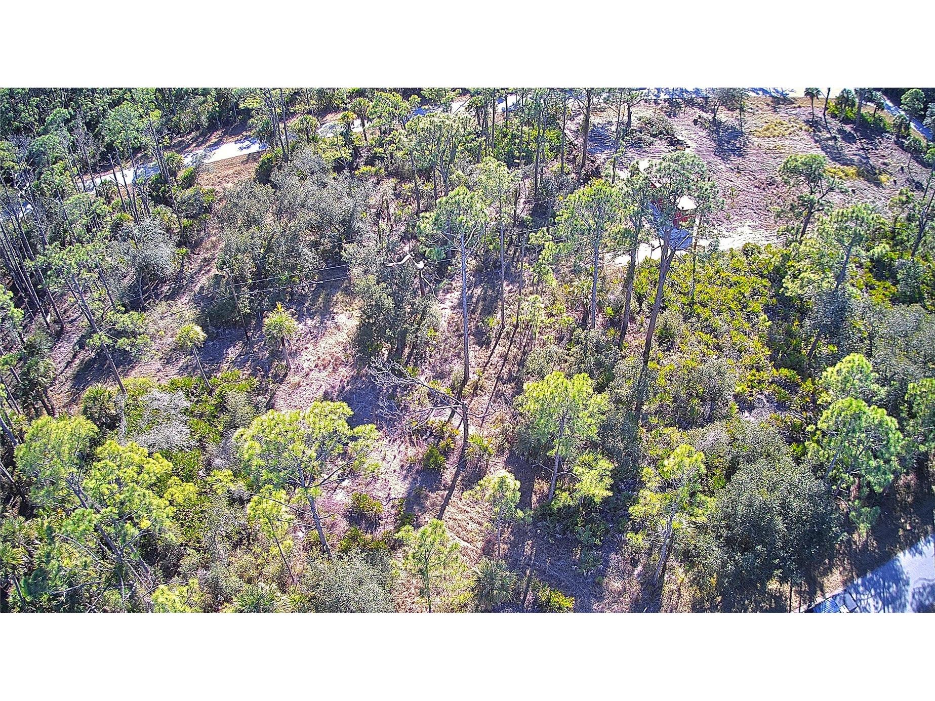 13093 Harbison Avenue Port Charlotte FL 33953 C7520249 image3