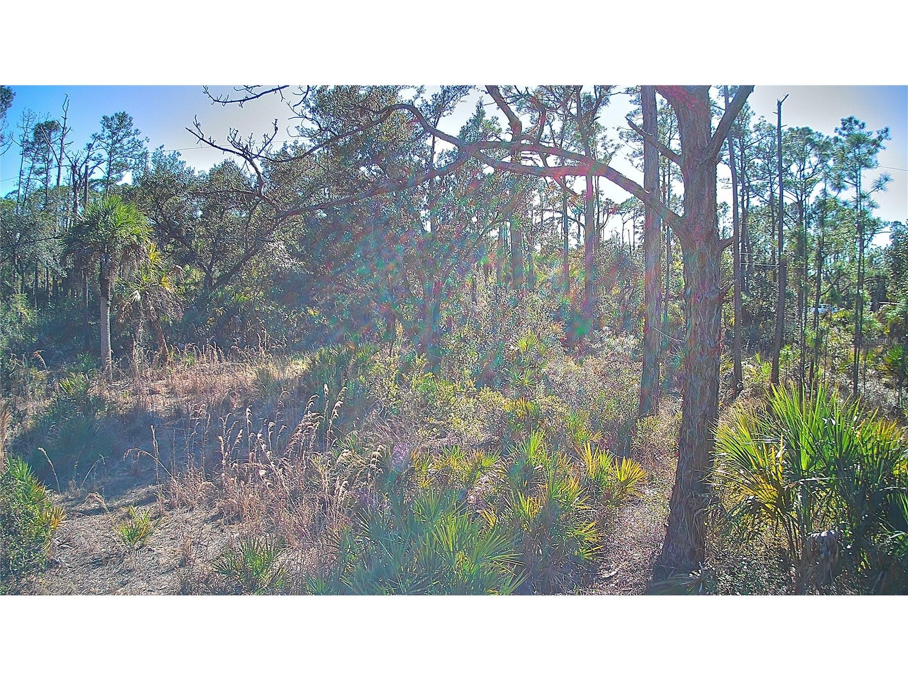 13093 Harbison Avenue Port Charlotte FL 33953 C7520249 image4