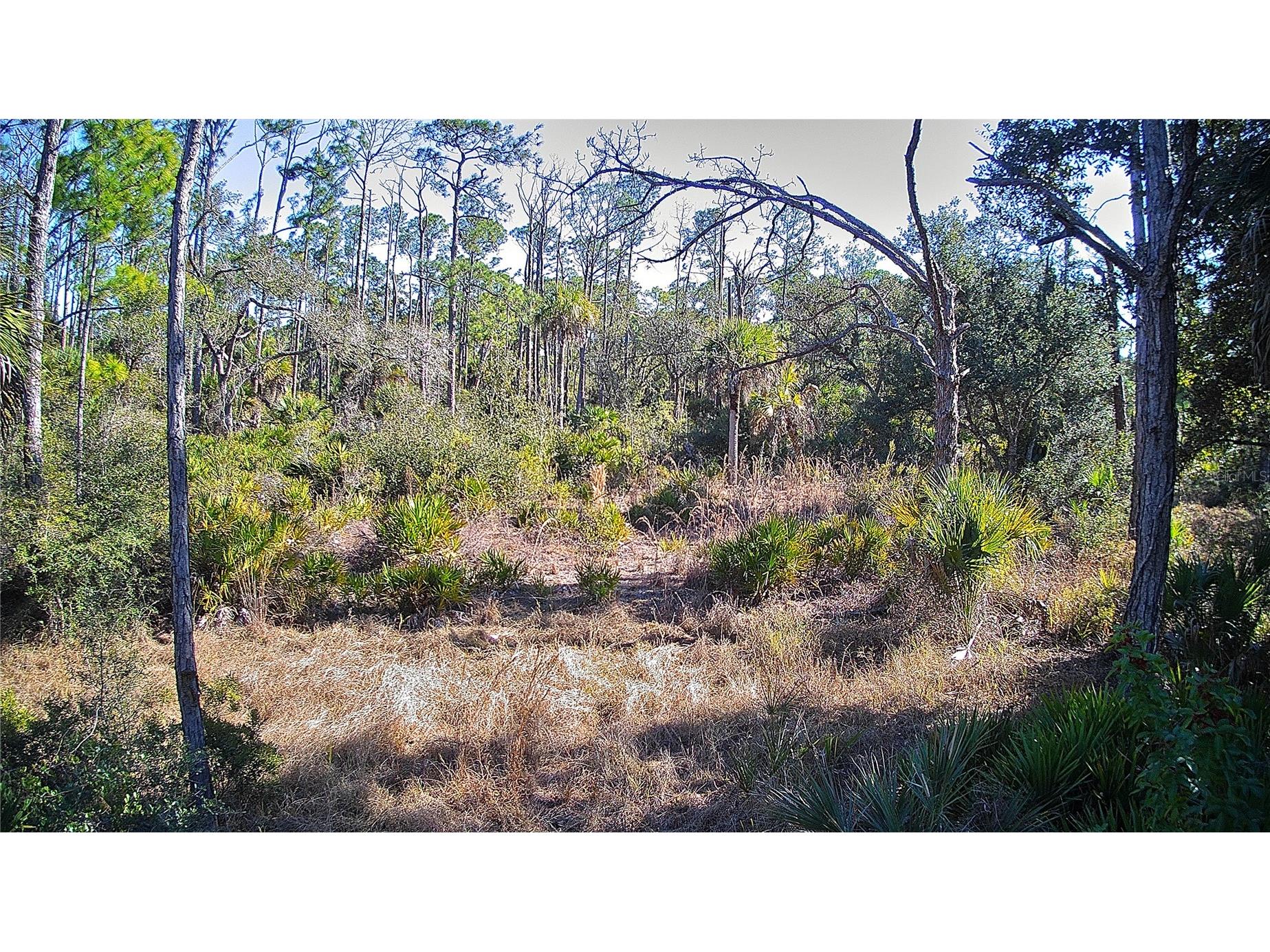 13093 Harbison Avenue Port Charlotte FL 33953 C7520249 image5