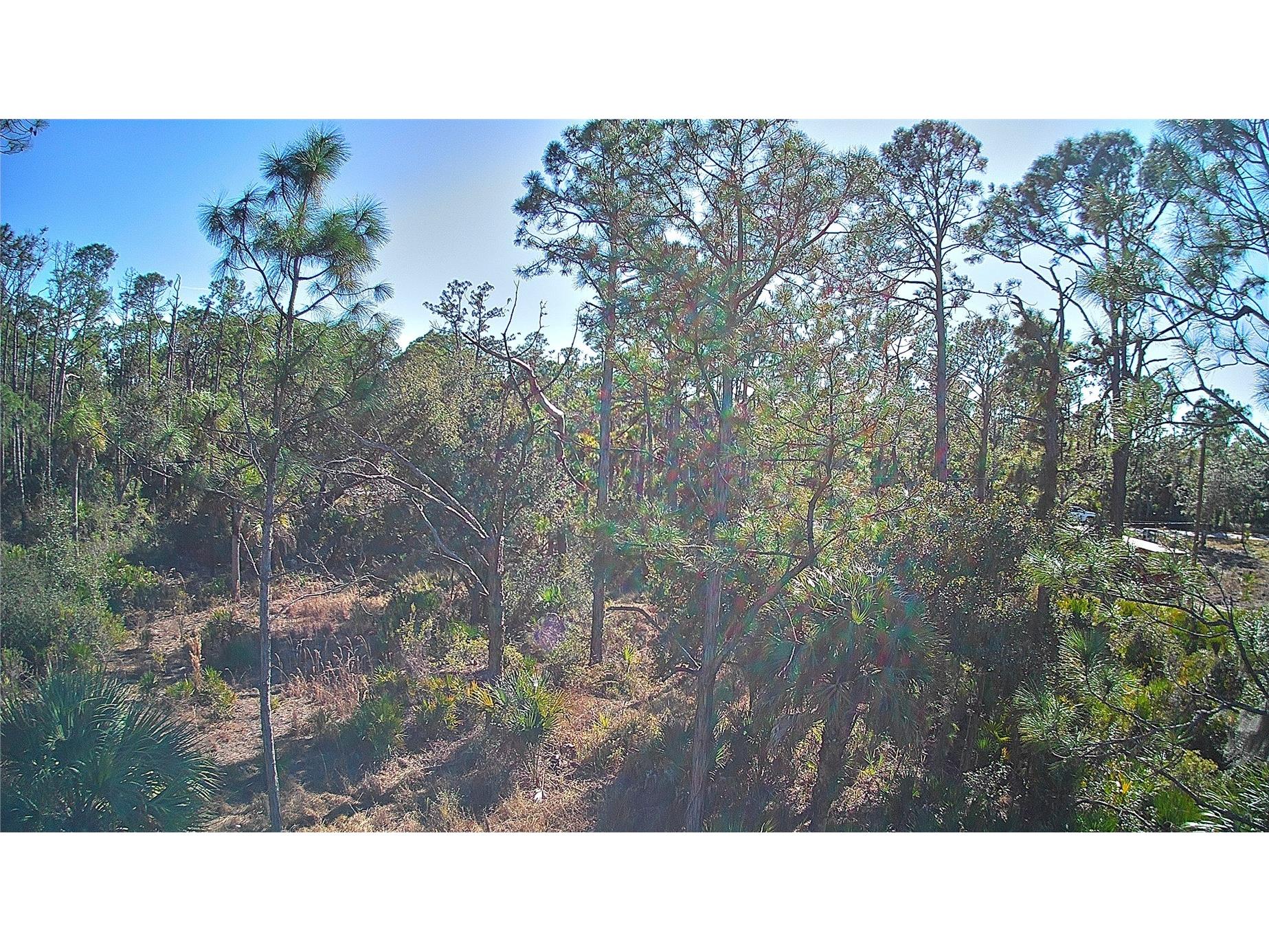 13093 Harbison Avenue Port Charlotte FL 33953 C7520249 image6