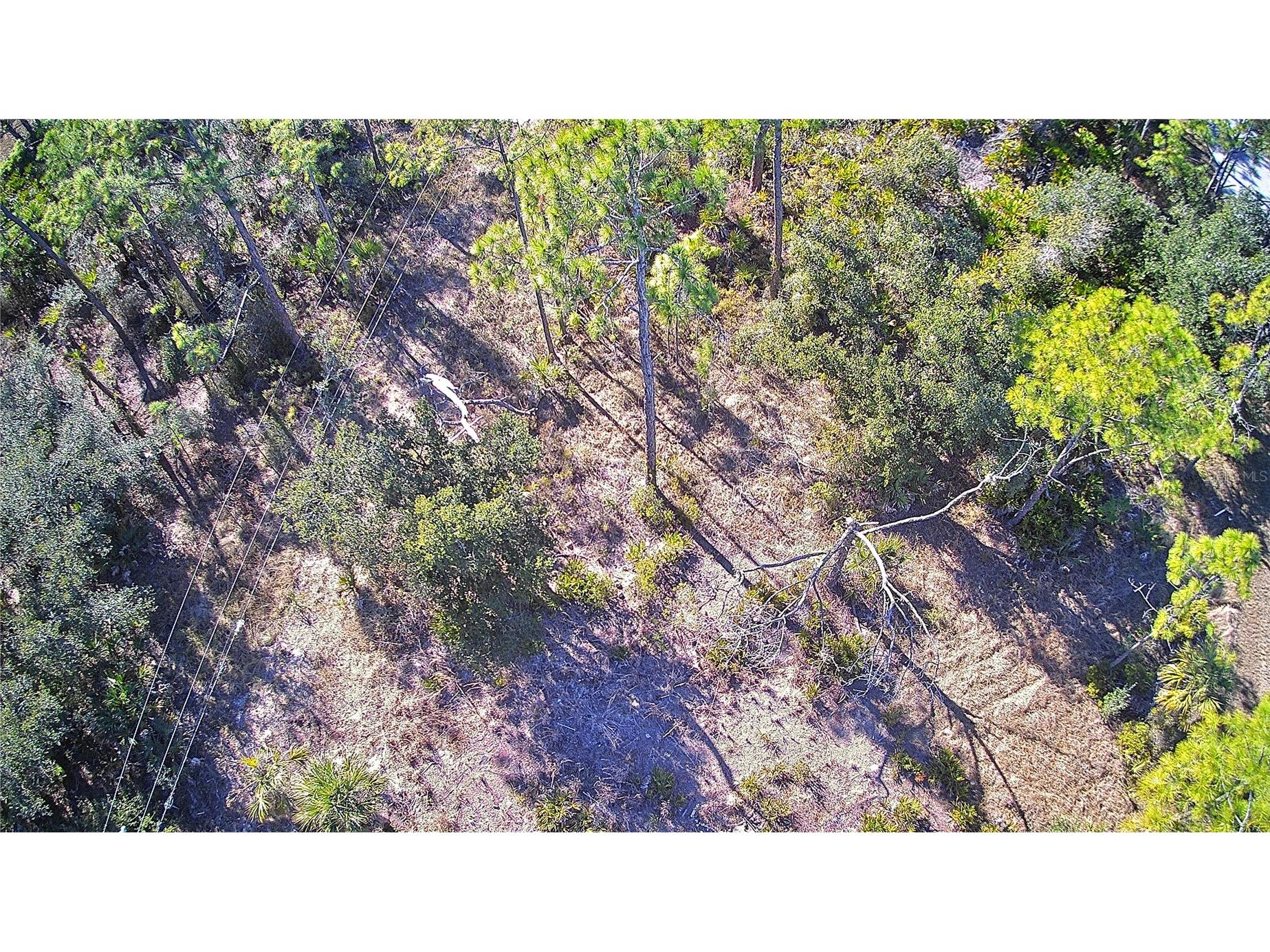 13093 Harbison Avenue Port Charlotte FL 33953 C7520249 image7