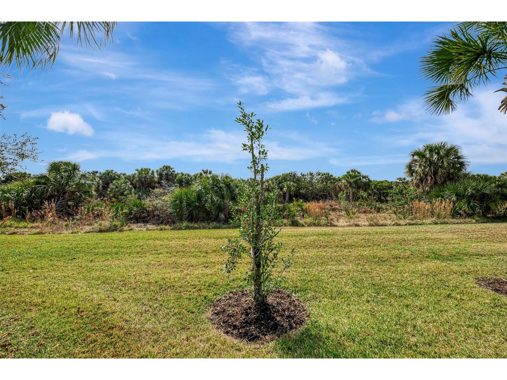 13096 Creekside Lane Port Charlotte FL 33953 D6146109 image49