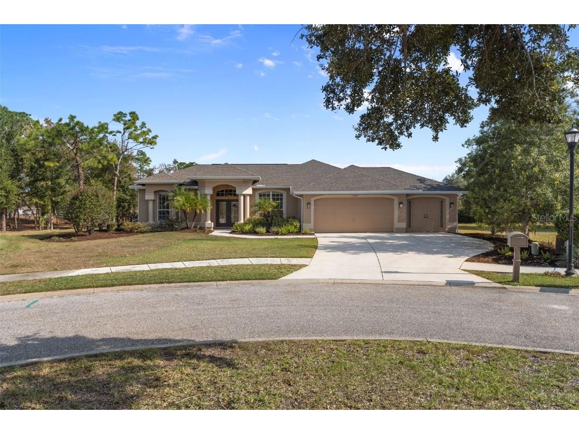 13097 Pastore Court Spring Hill FL 34609 W7881144 image1