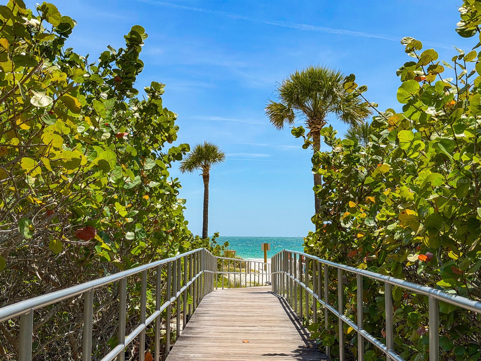 13098 Gulf Boulevard Madeira Beach FL 33708 TB8508079 image4