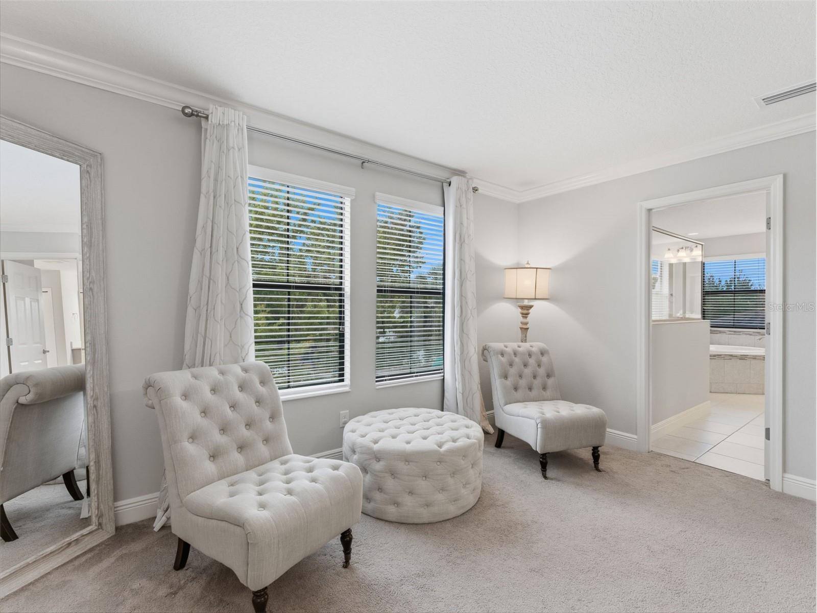 13099 Burns Drive Odessa FL 33556 W7884573 image18