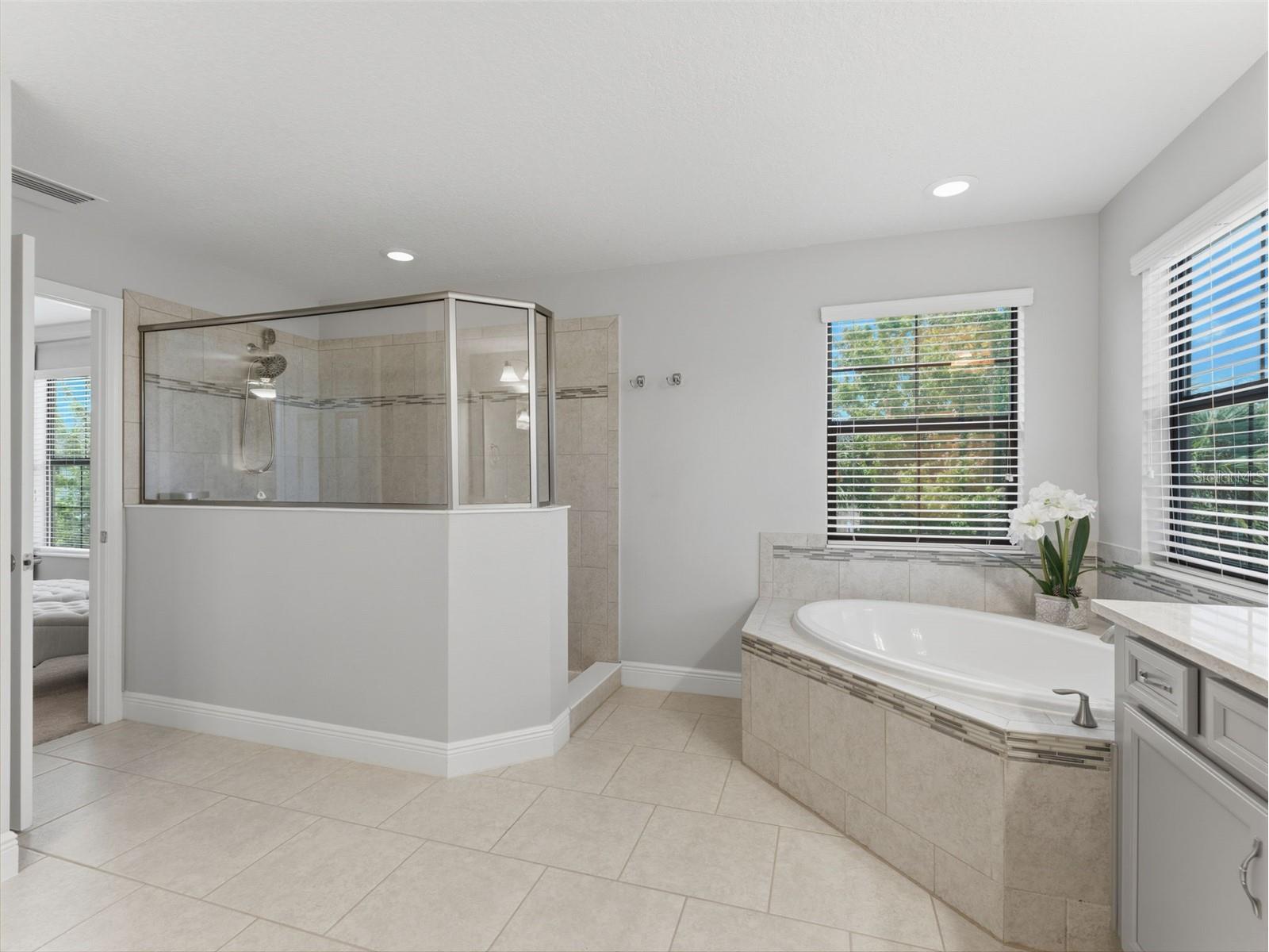 13099 Burns Drive Odessa FL 33556 W7884573 image20