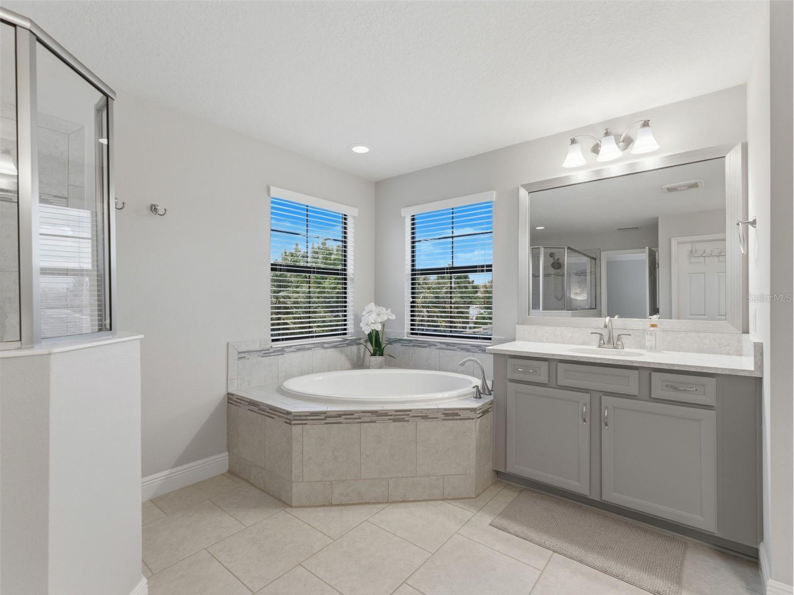 13099 Burns Drive Odessa FL 33556 W7884573 image22