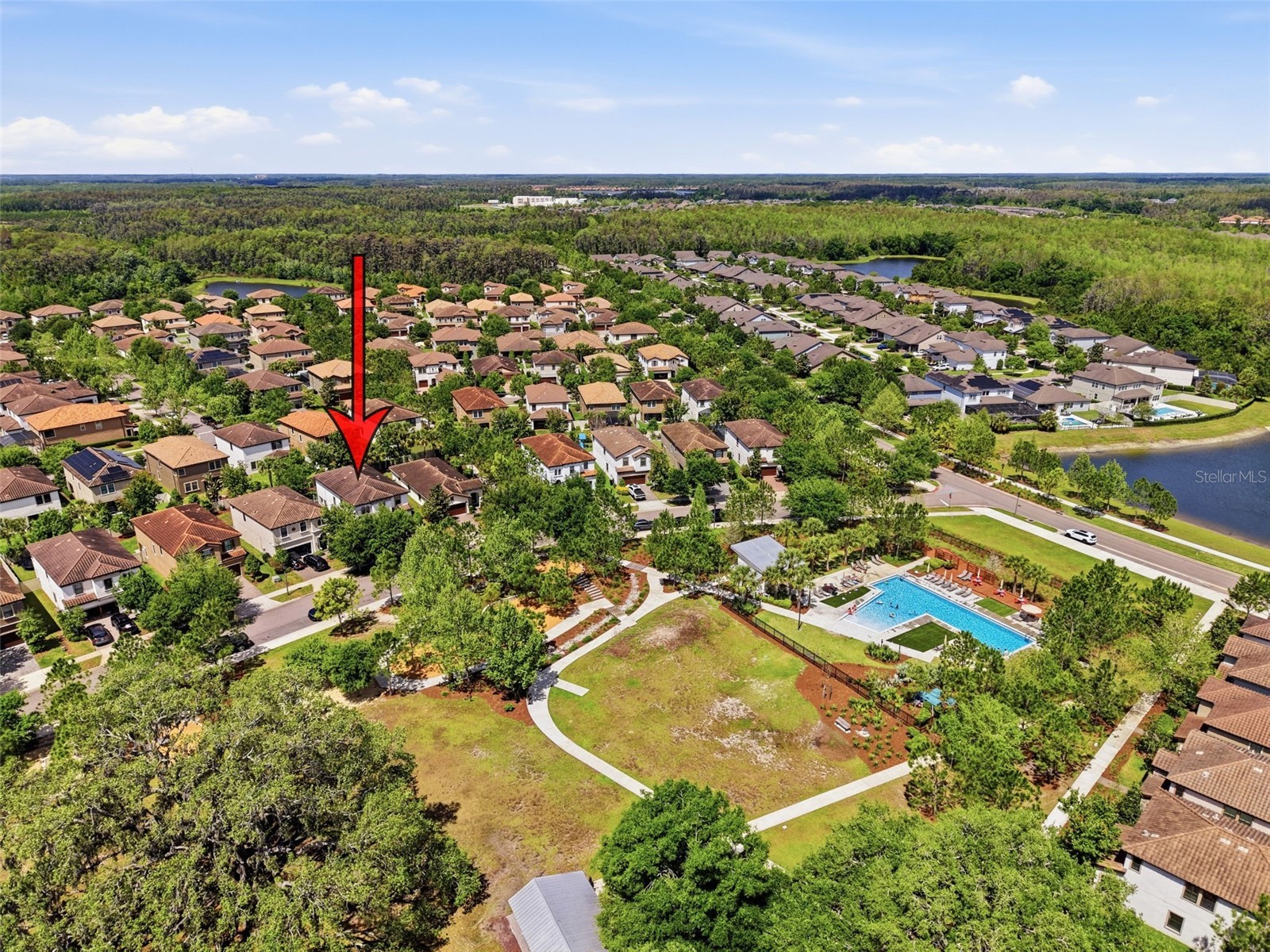 13099 Burns Drive Odessa FL 33556 W7884573 image36