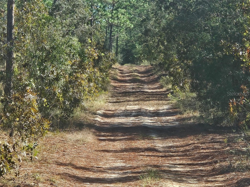 13099 SW 92nd Place Dunnellon FL 34432 G5103613 image3