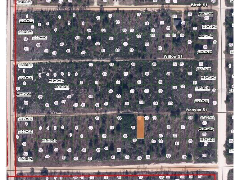 131 Banvon Street Interlachen FL 32148 OM649417 image2