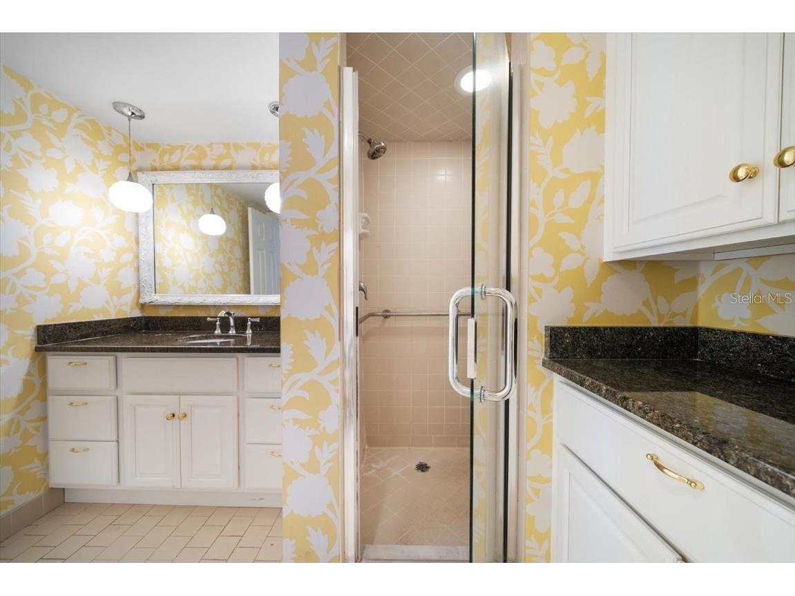 131 Bluff View Drive #104 Belleair Bluffs FL 33770 TB8445102 image24