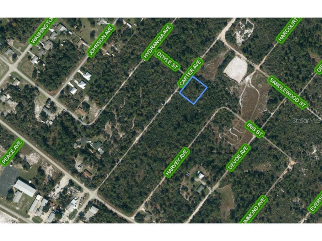 131 Carter Avenue Lake Placid FL 33852 C7473970 image1