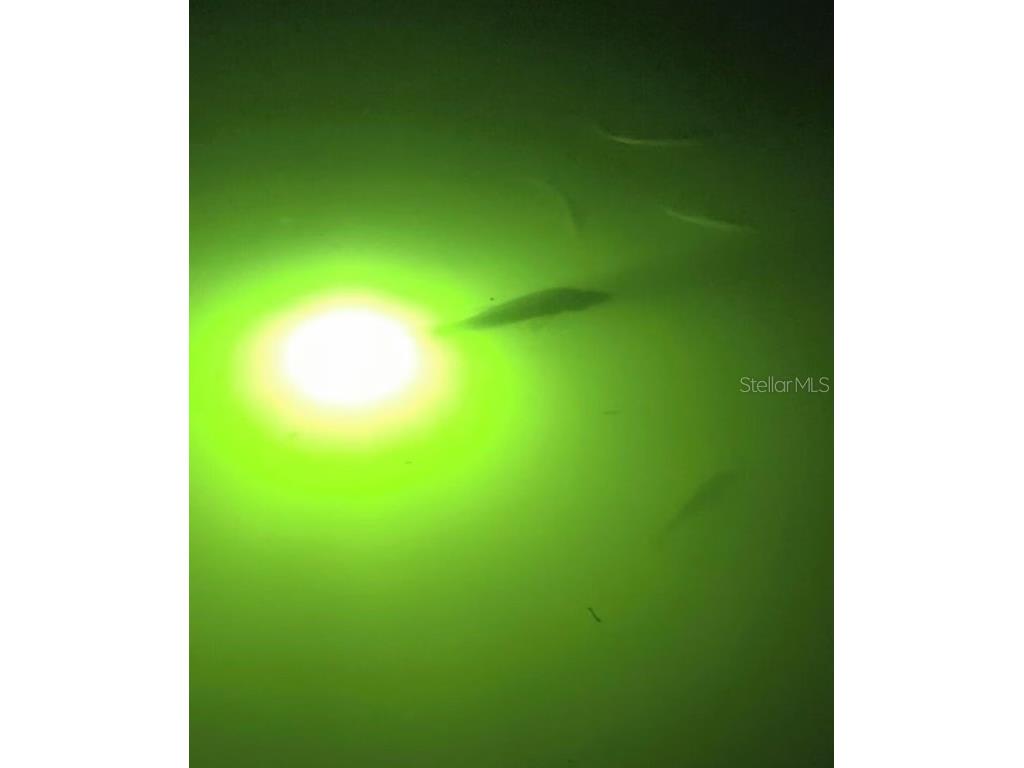 131 Casa Lane Punta Gorda FL 33950 TB8416000 image35