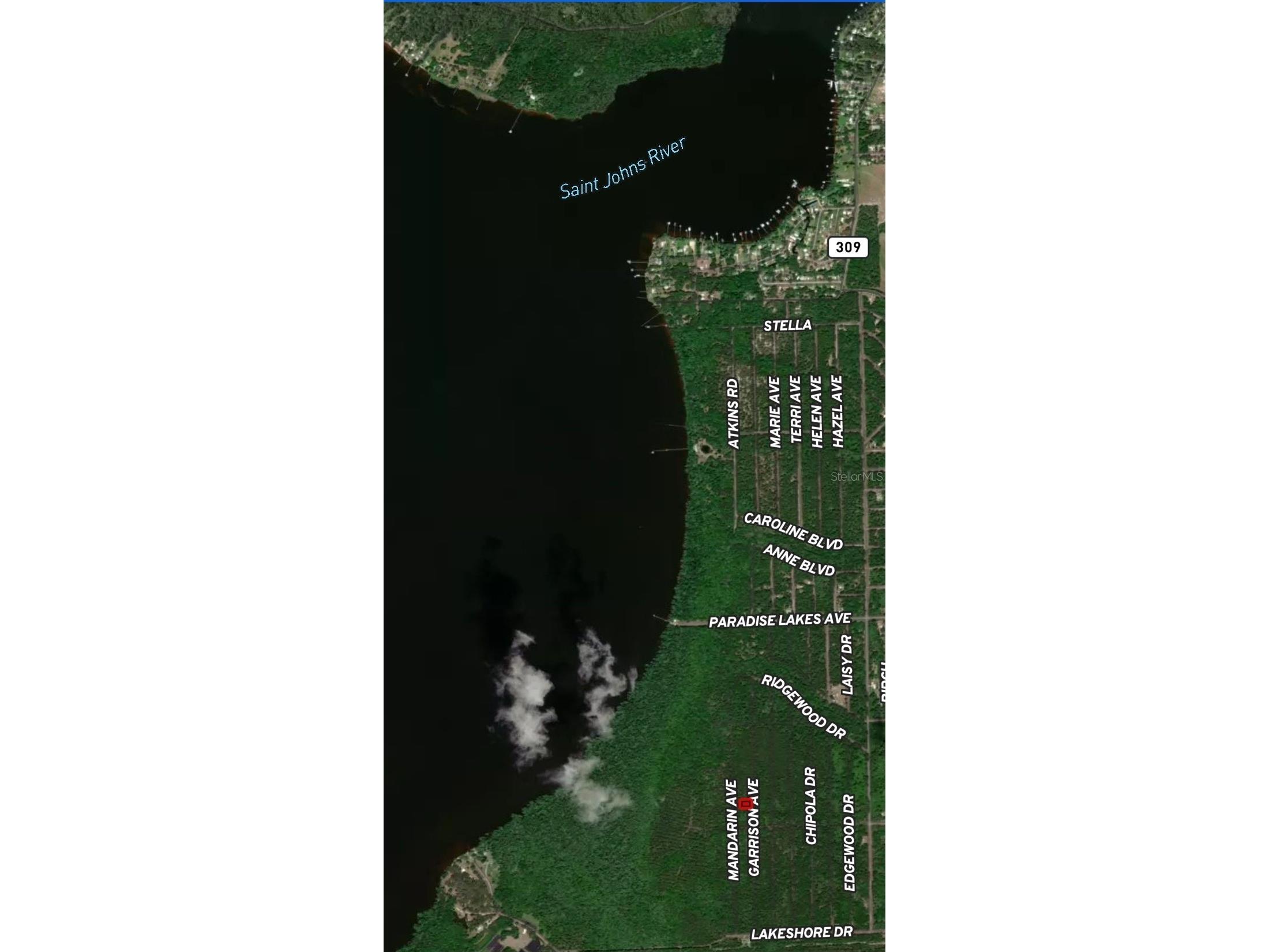 131 Garrison Avenue Georgetown FL 32139 OM710334 image1