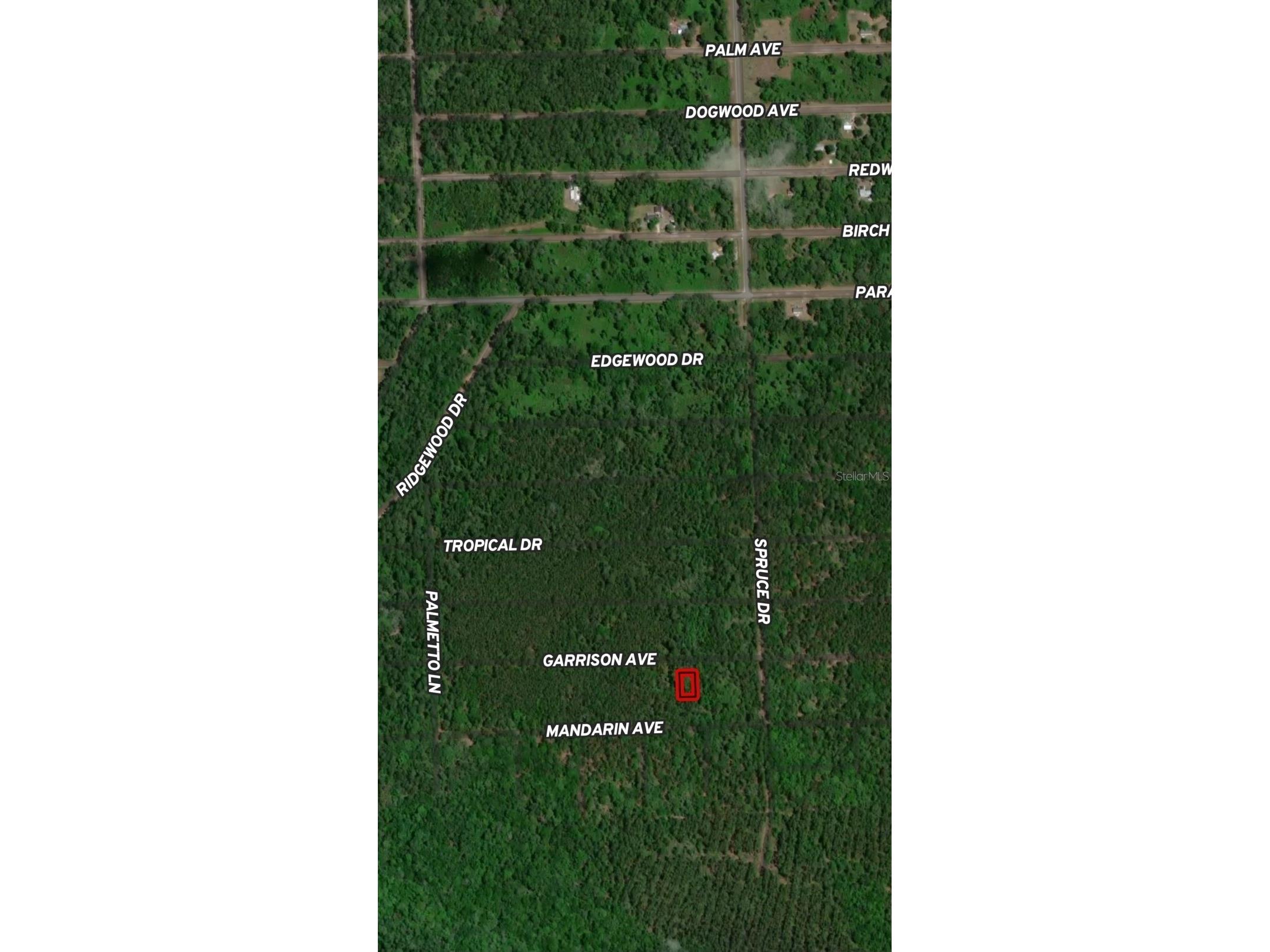 131 Garrison Avenue Georgetown FL 32139 OM710334 image2