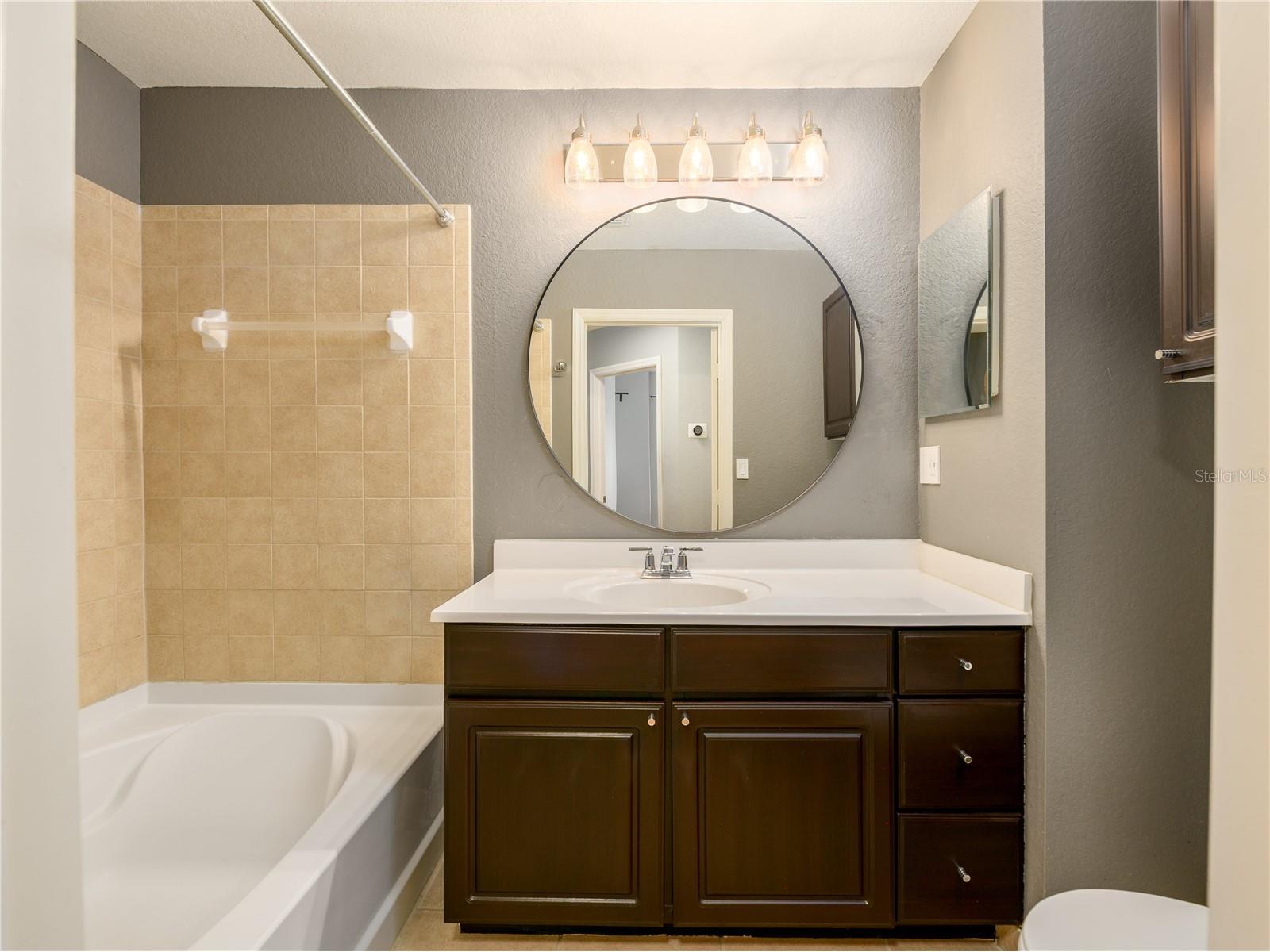 131 Grand Beach Place #131 Tampa FL 33609 TB8507798 image16