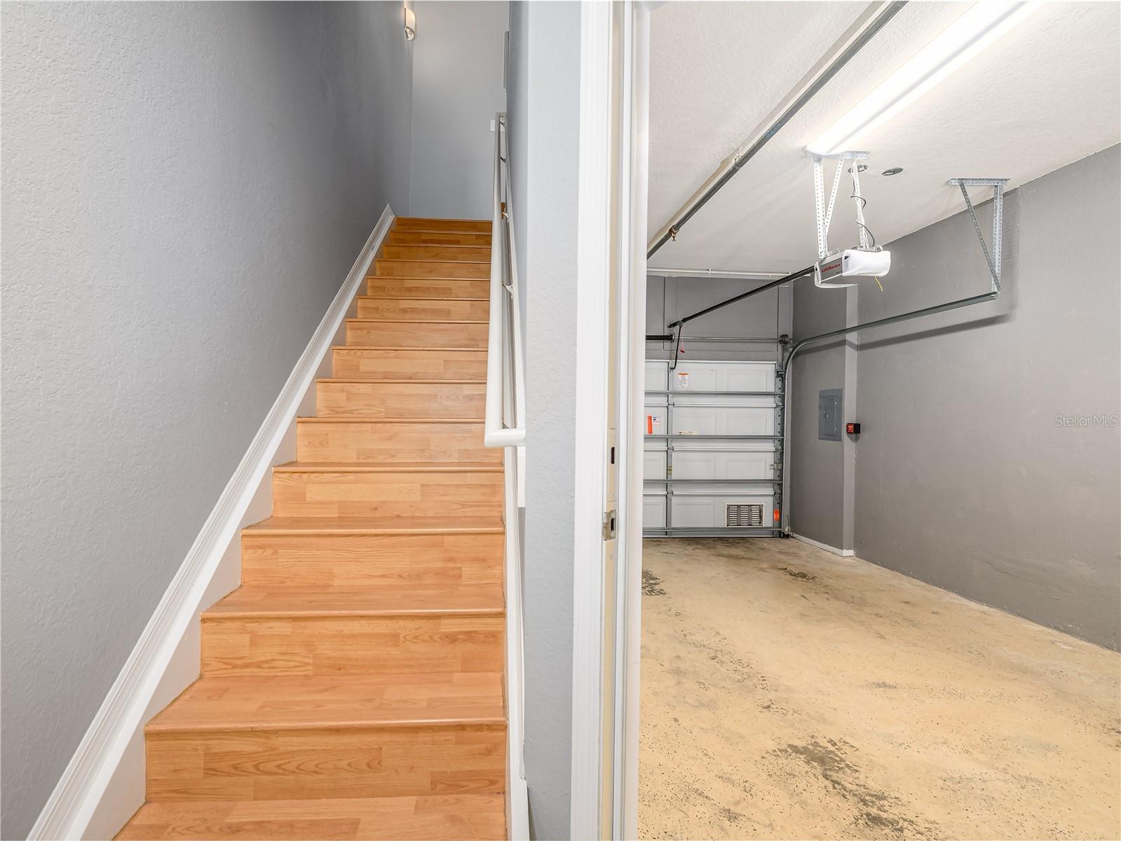 131 Grand Beach Place #131 Tampa FL 33609 TB8507798 image19