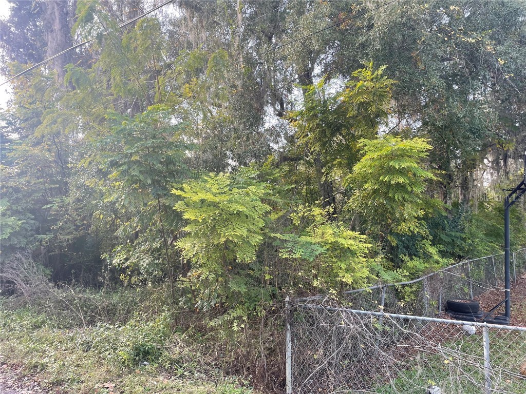 131 Lake Mamie Road Deland FL 32724 V4946112 image3