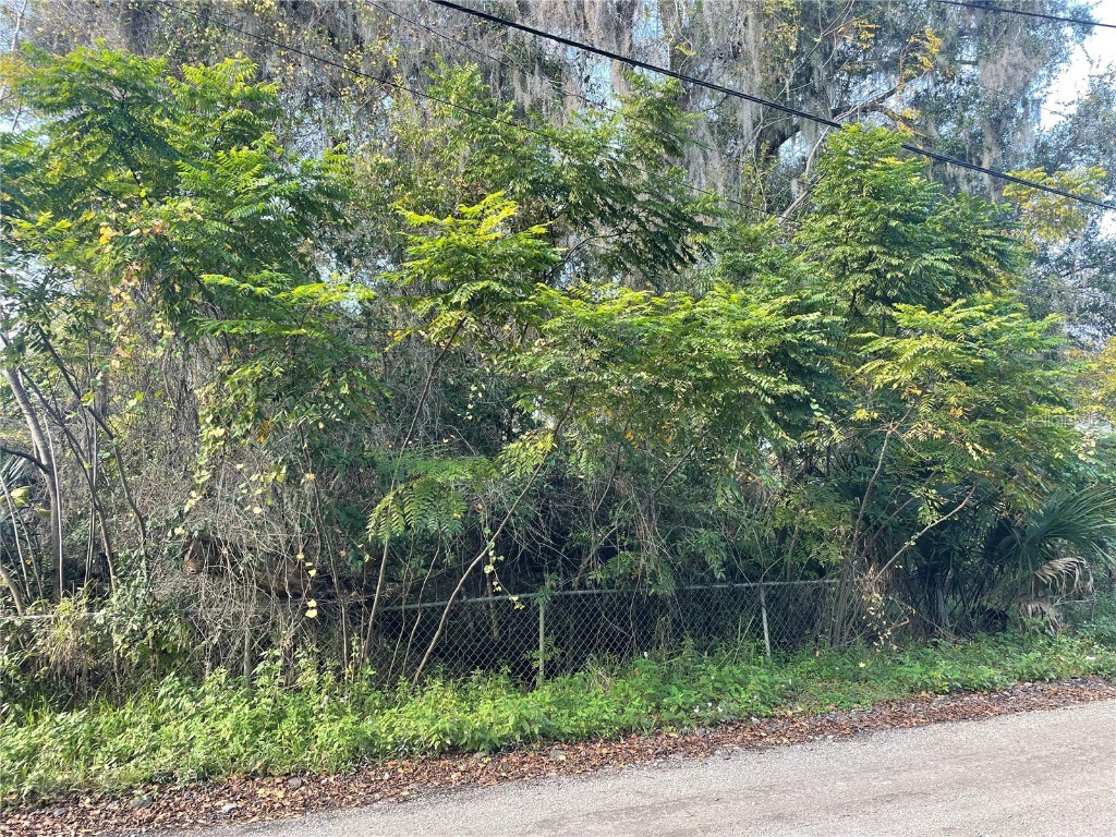 131 Lake Mamie Road Deland FL 32724 V4946112 image7