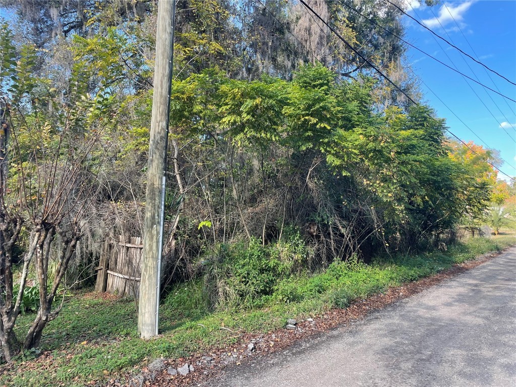 131 Lake Mamie Road Deland FL 32724 V4946112 image8