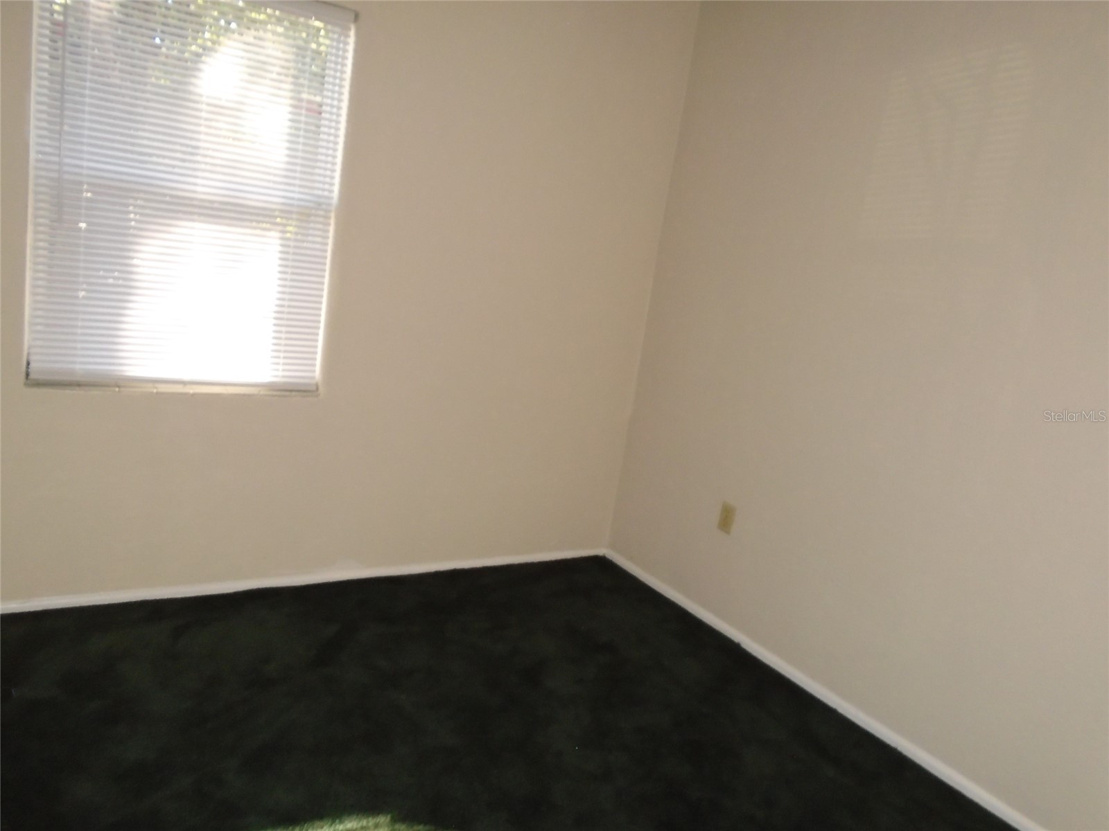 131 Lemon Lane Casselberry FL 32707 O6402486 image8