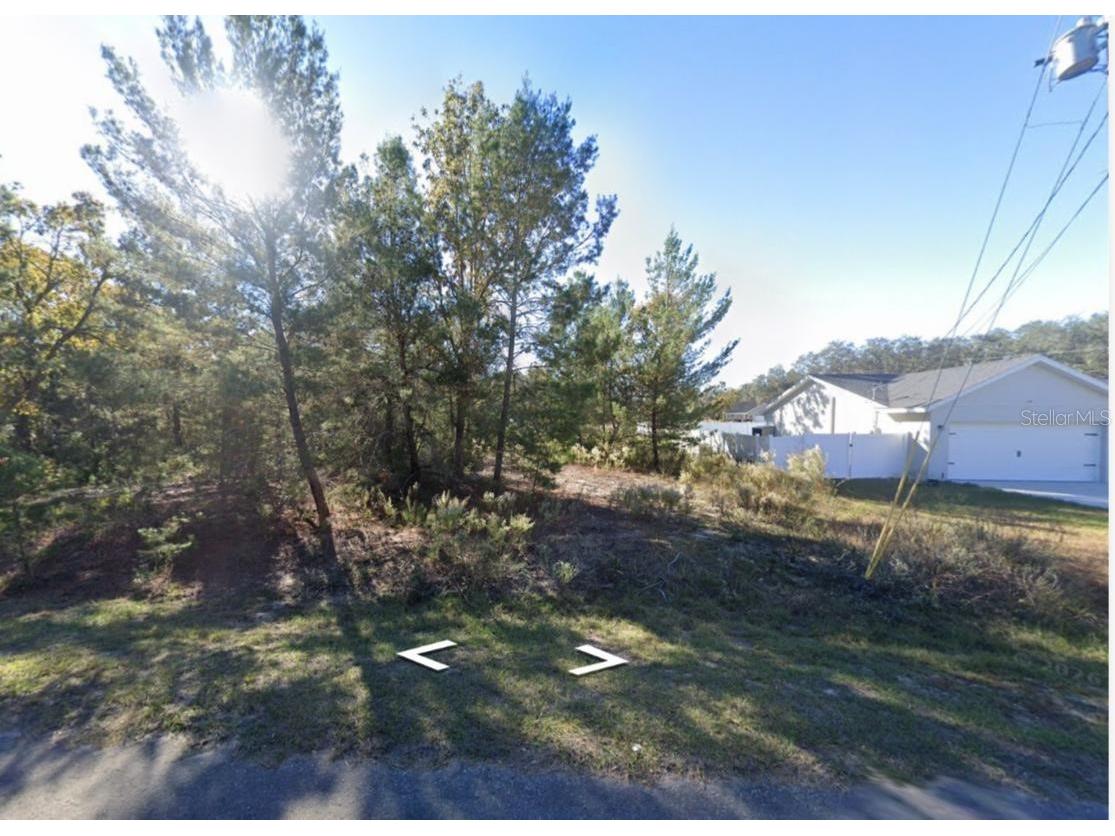 131 Malauka Run Ocklawaha FL 32179 O6414069 image2