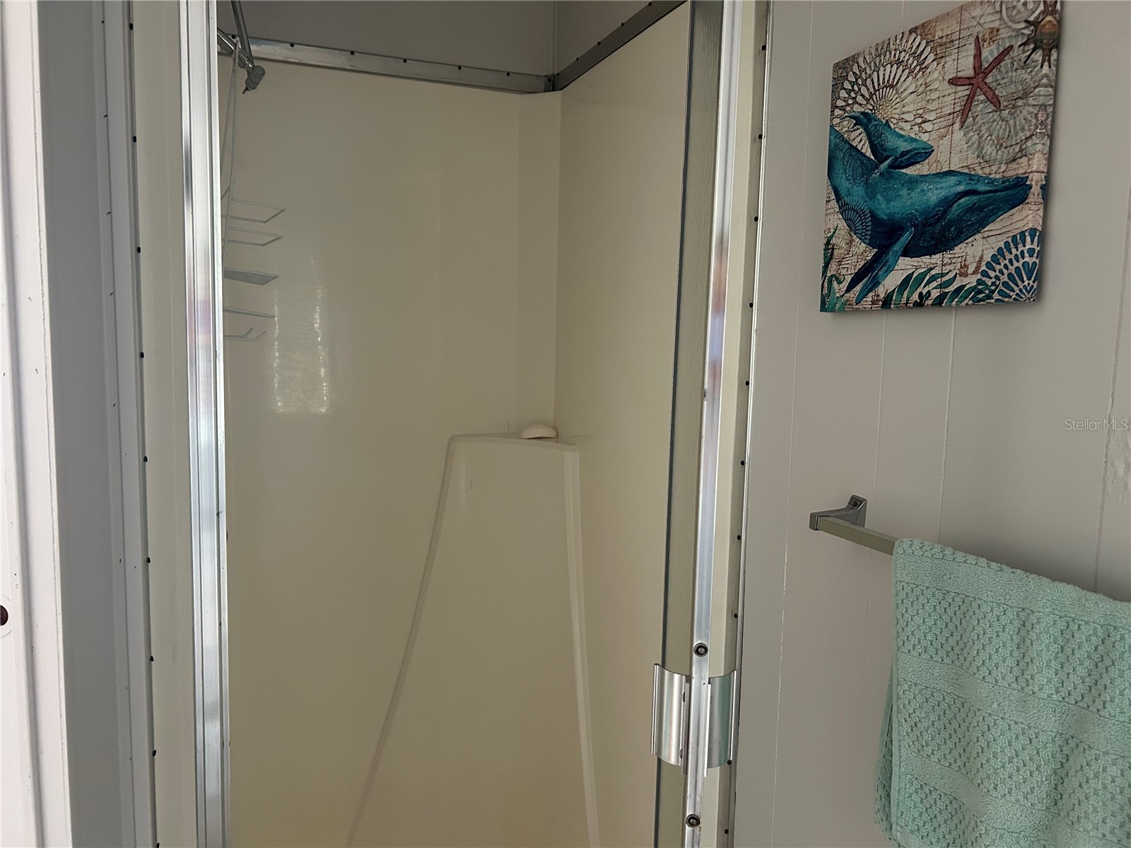 131 Malayon Way Leesburg FL 34788 G5115425 image11