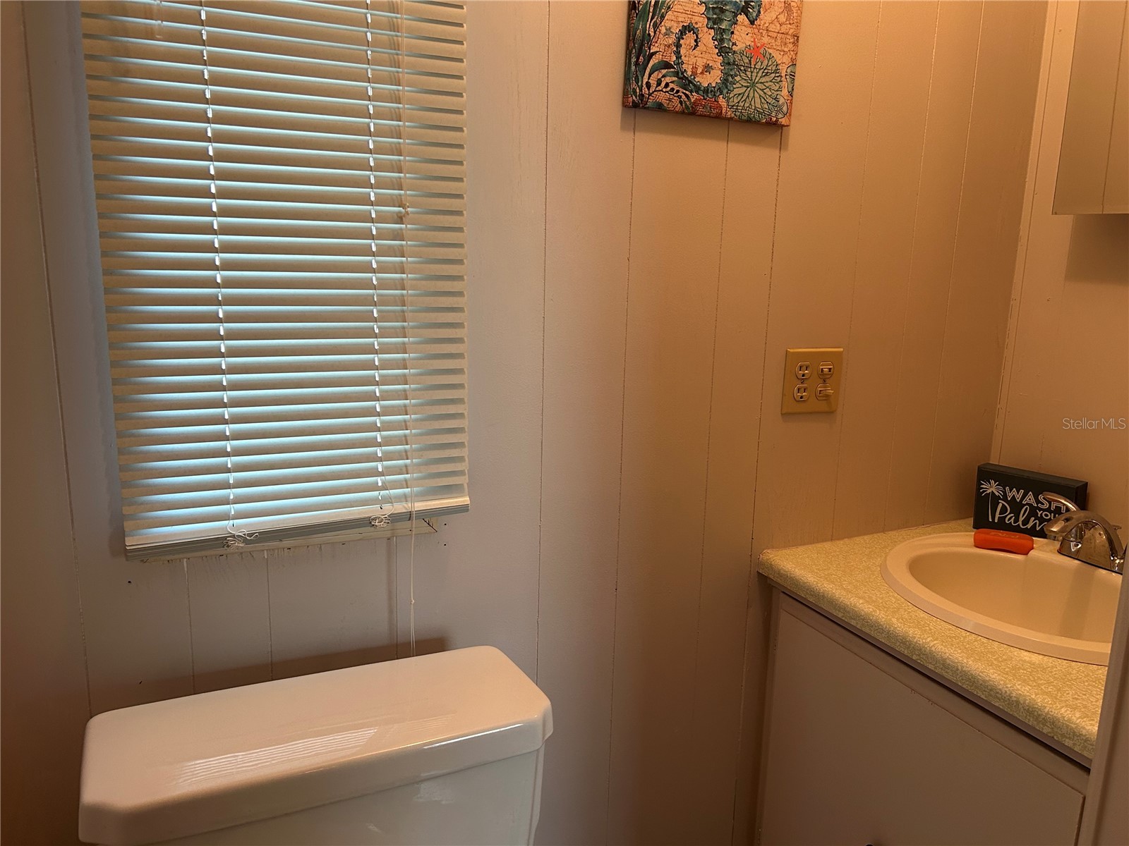 131 Malayon Way Leesburg FL 34788 G5115425 image13