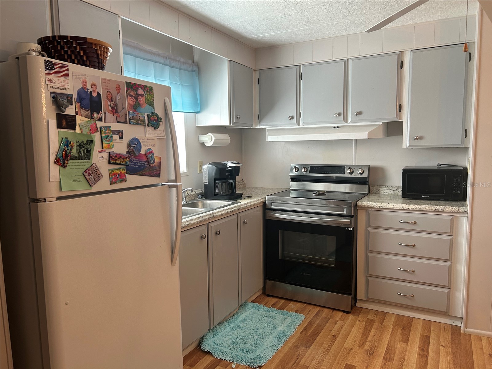 131 Malayon Way Leesburg FL 34788 G5115425 image4