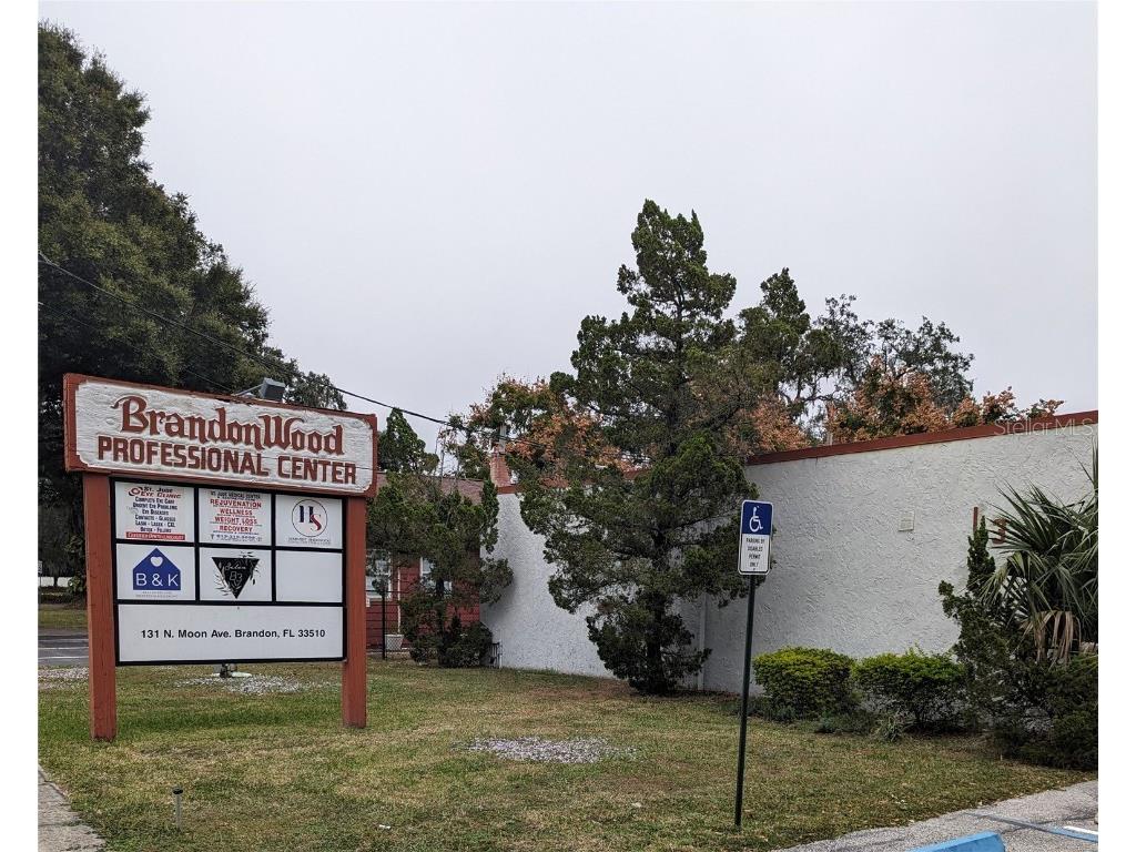 131 N Moon Avenue Brandon FL 33510 T3486143 image1