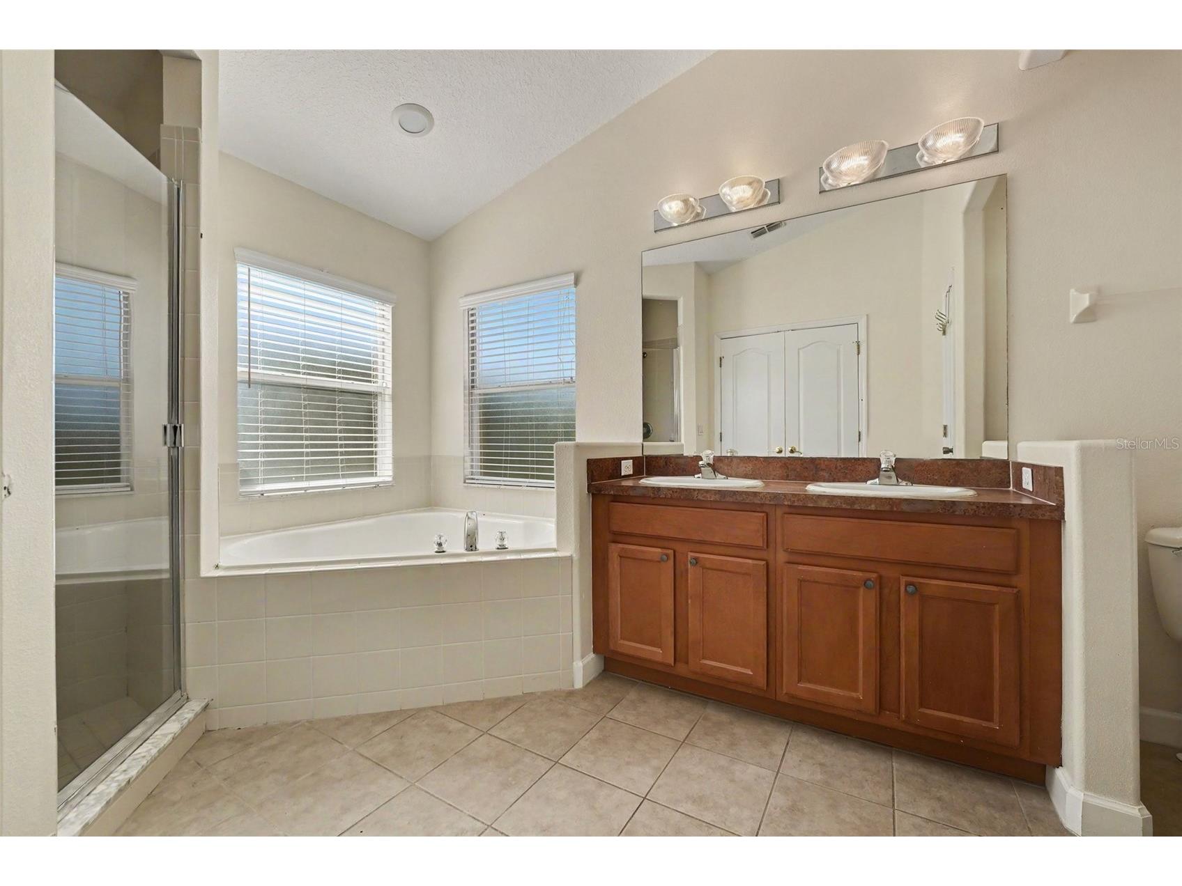 131 Old Bridge Circle Davenport FL 33897 O6419893 image16