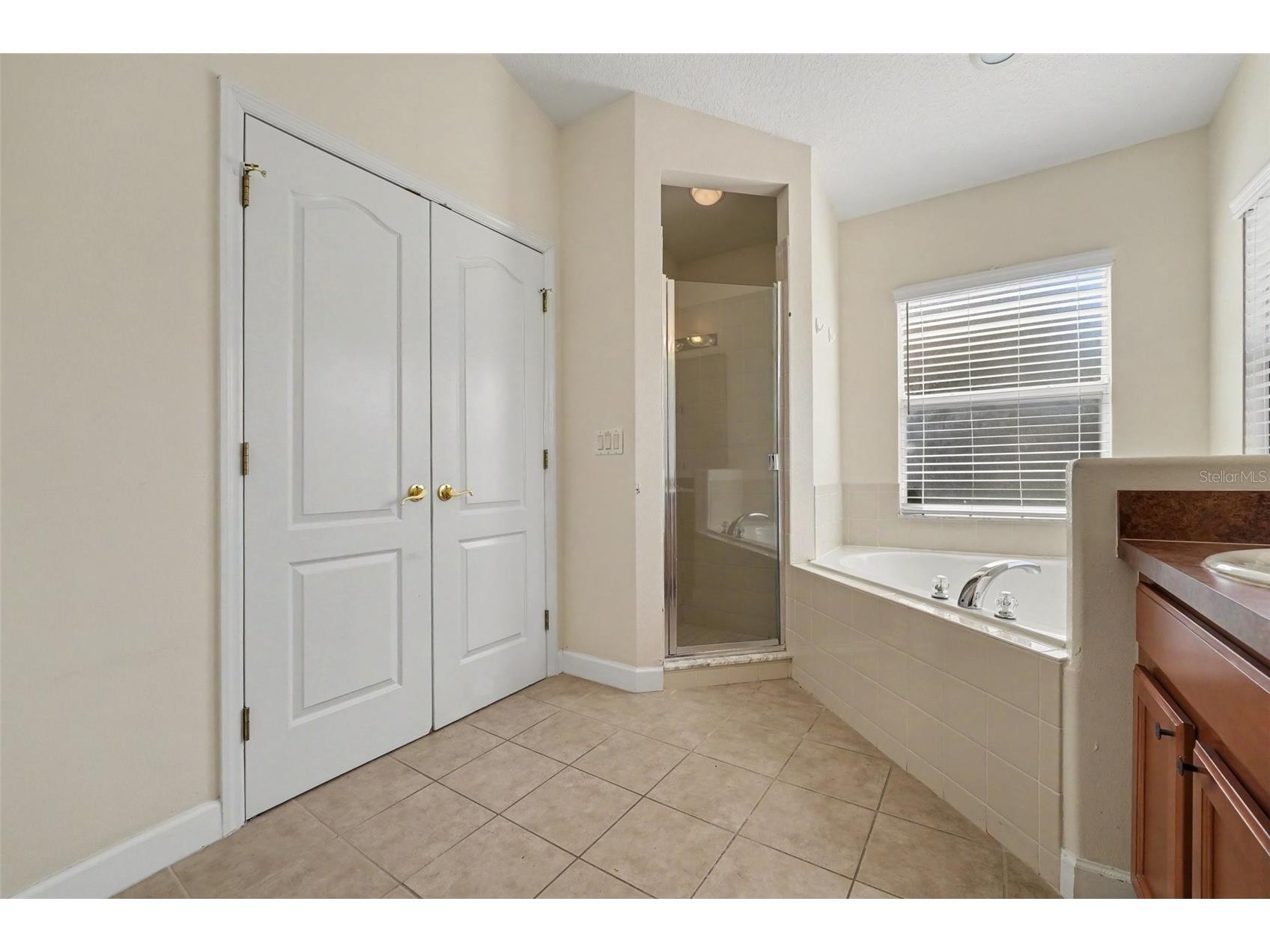 131 Old Bridge Circle Davenport FL 33897 O6419893 image17