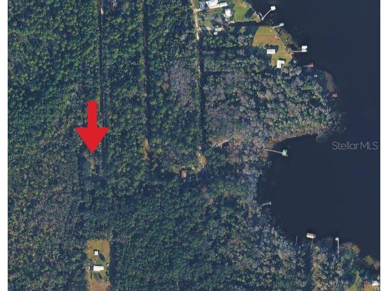 131 Orange Drive Florahome FL 32140 FC316331 image1