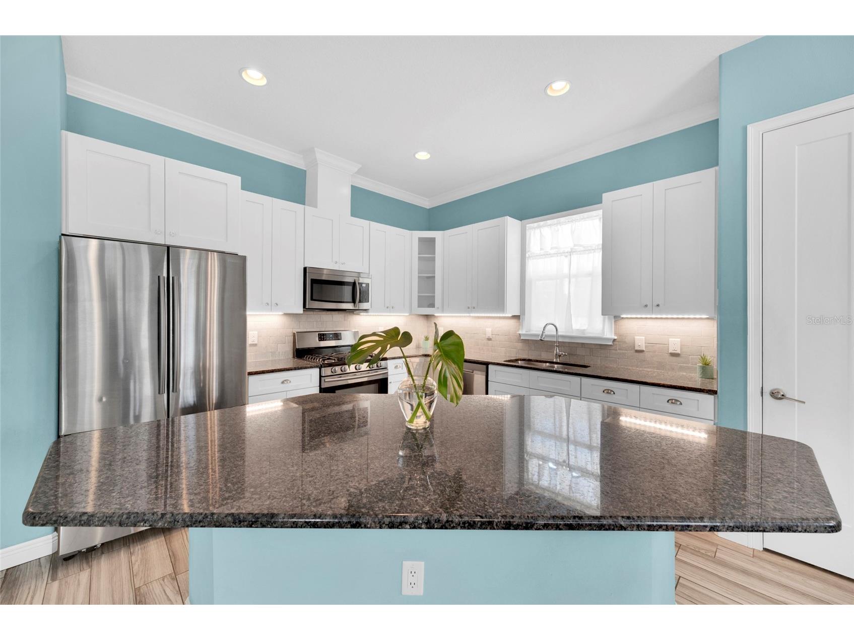 131 Pennsylvania Avenue Palm Harbor FL 34683 TB8484006 image21