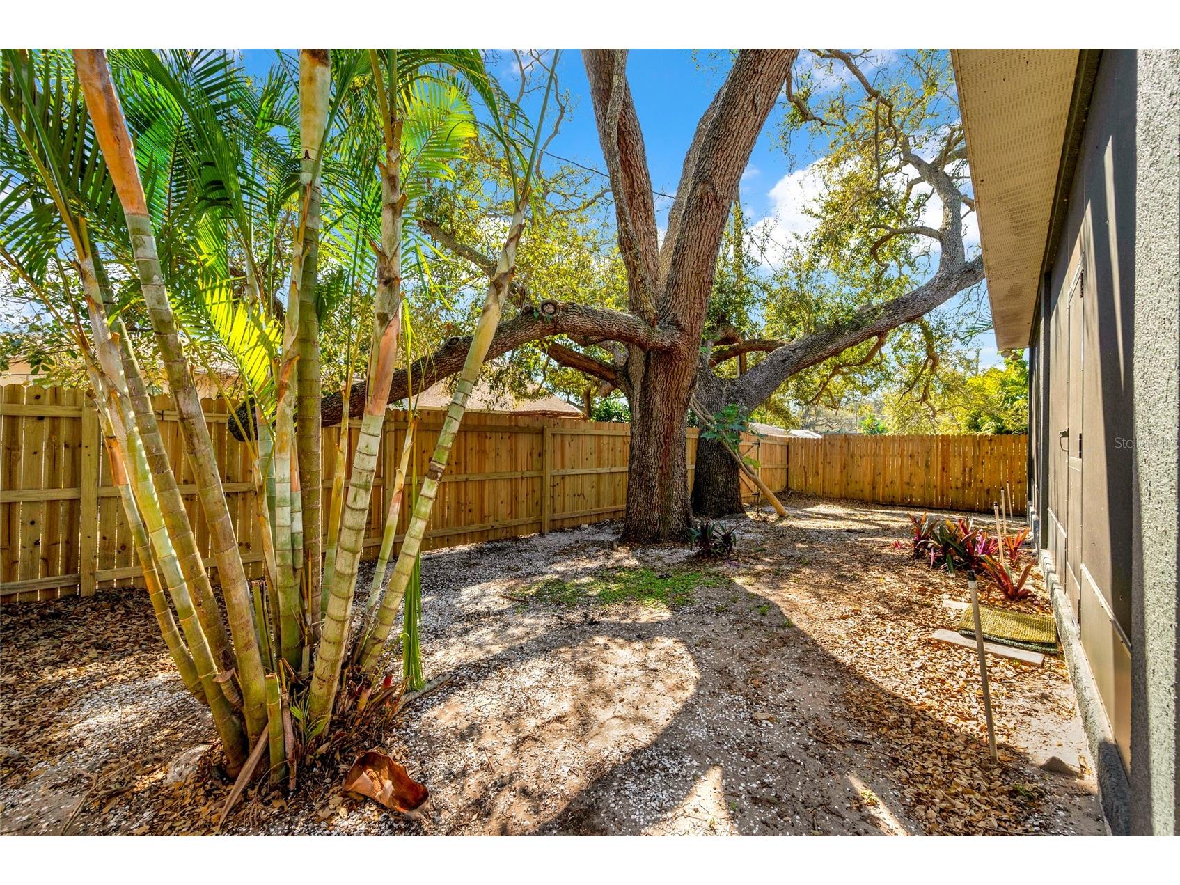 131 Pennsylvania Avenue Palm Harbor FL 34683 TB8484006 image41