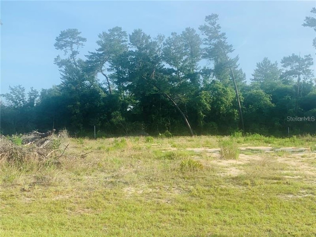 131 Place Ocala FL 34473 S5065457 image1