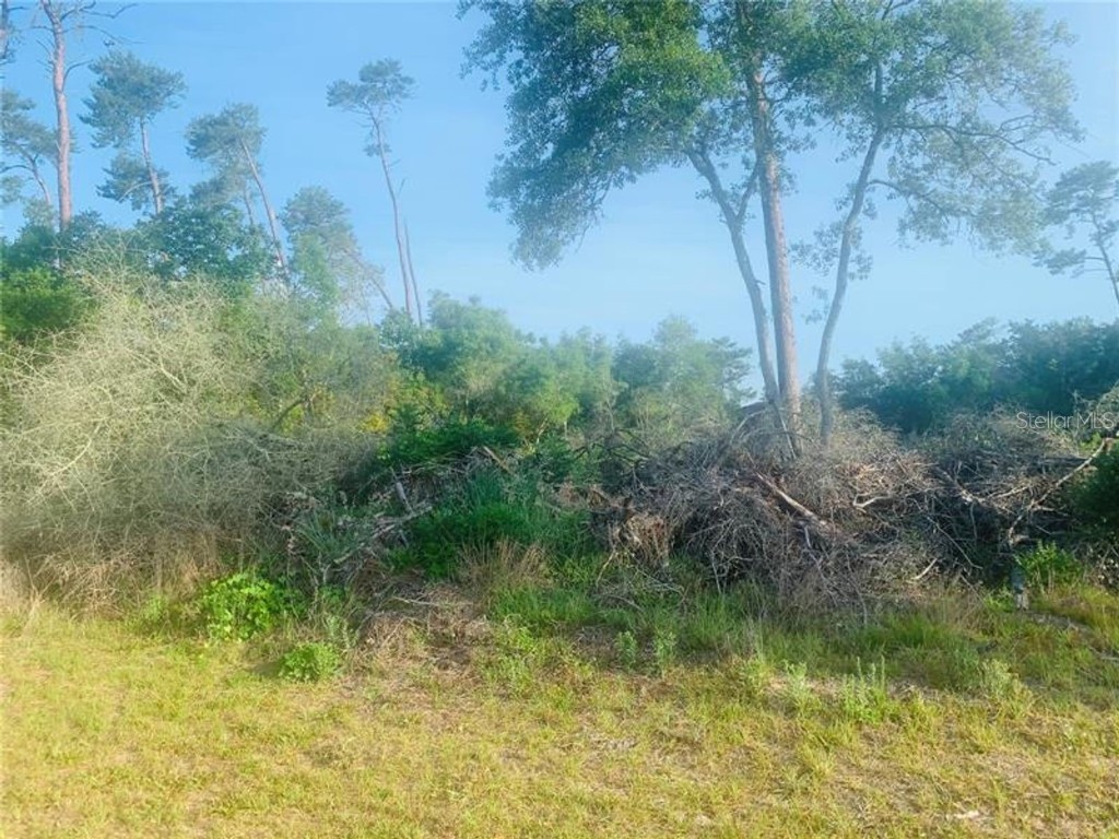 131 Place Ocala FL 34473 S5065458 image1