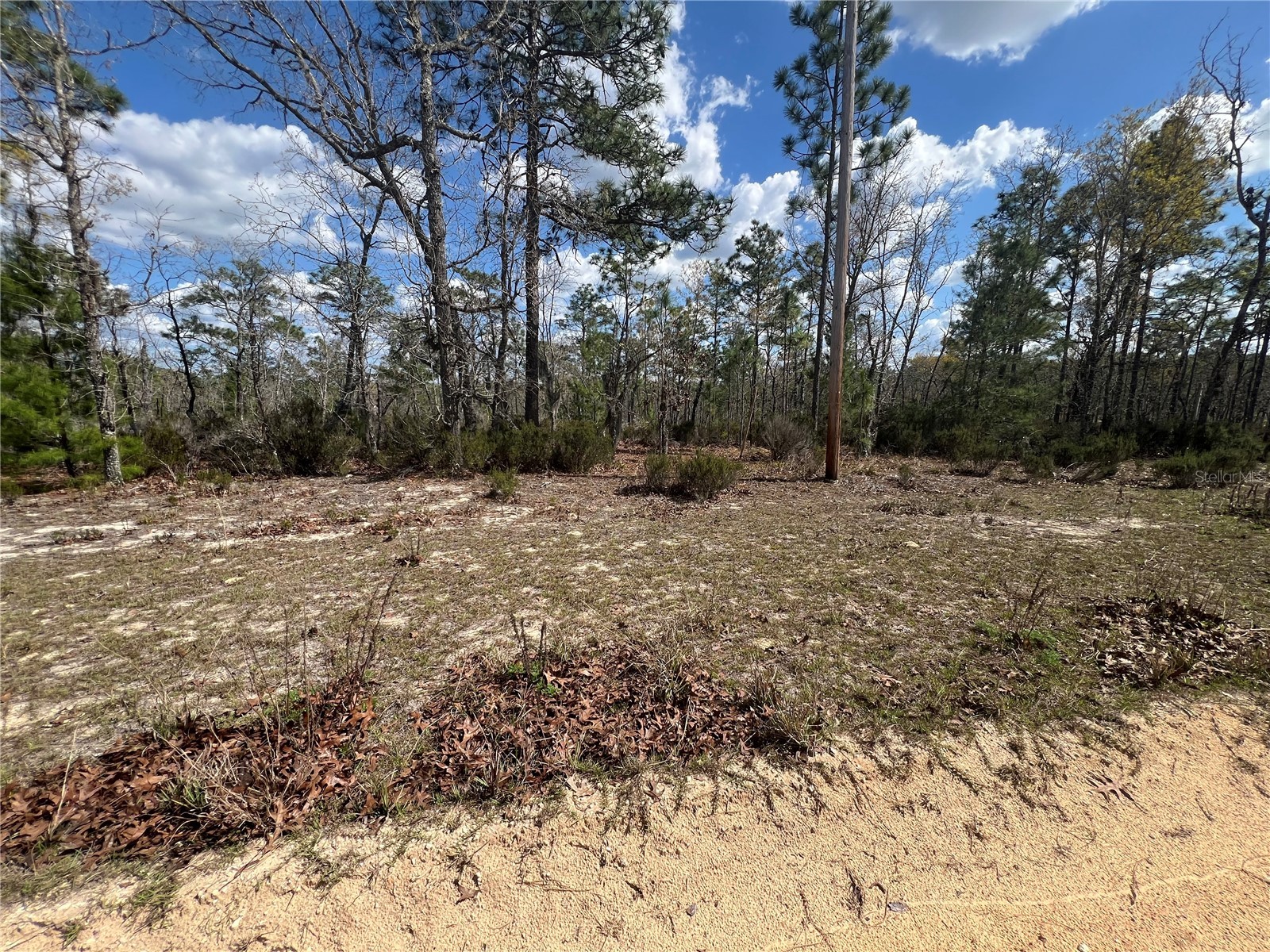 131 Quail Way Hawthorne FL 32640 GC538318 image6