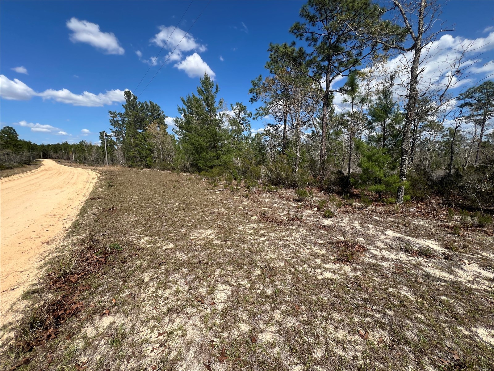 131 Quail Way Hawthorne FL 32640 GC538318 image7