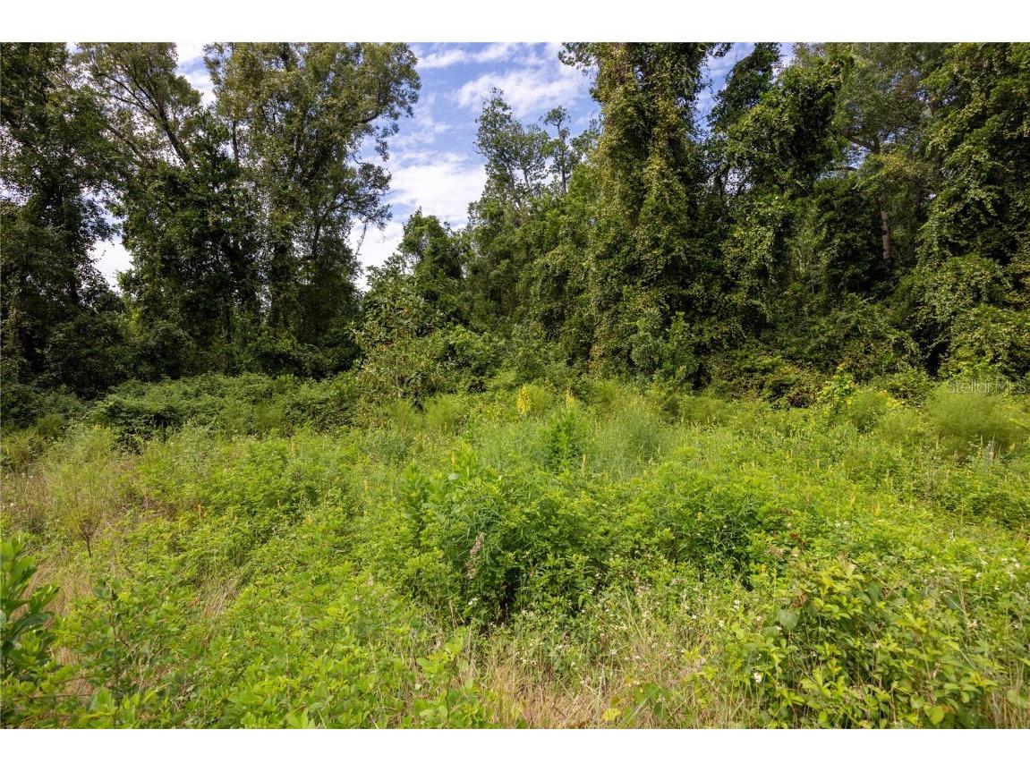 131 Riley Lake Drive Hawthorne FL 32640 GC525275 image13