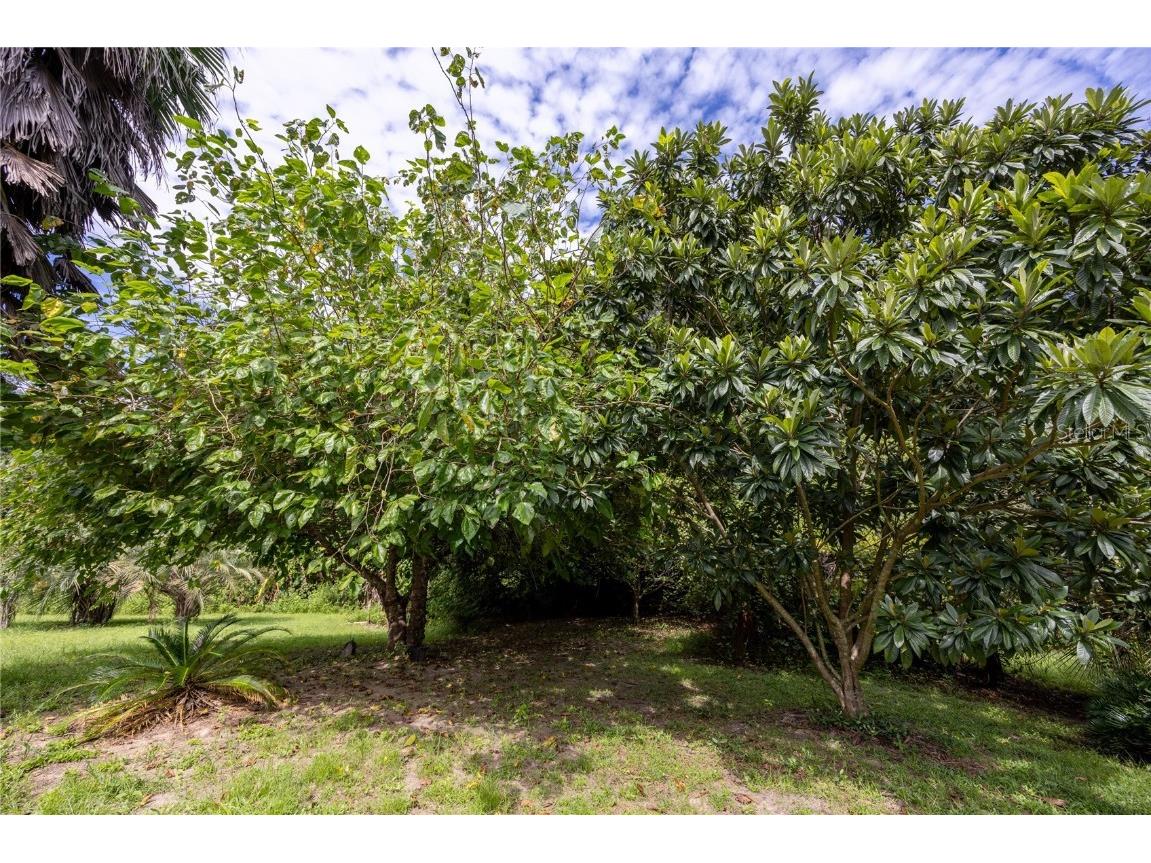 131 Riley Lake Drive Hawthorne FL 32640 GC525275 image4