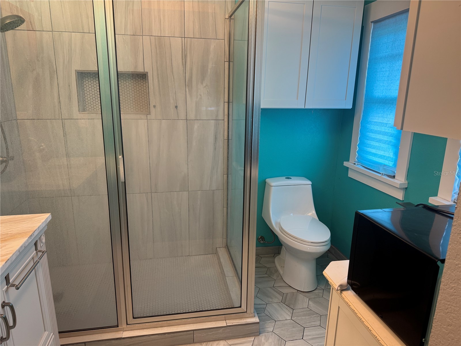 131 S 2nd Street Haines City FL 33844 L4960356 image7