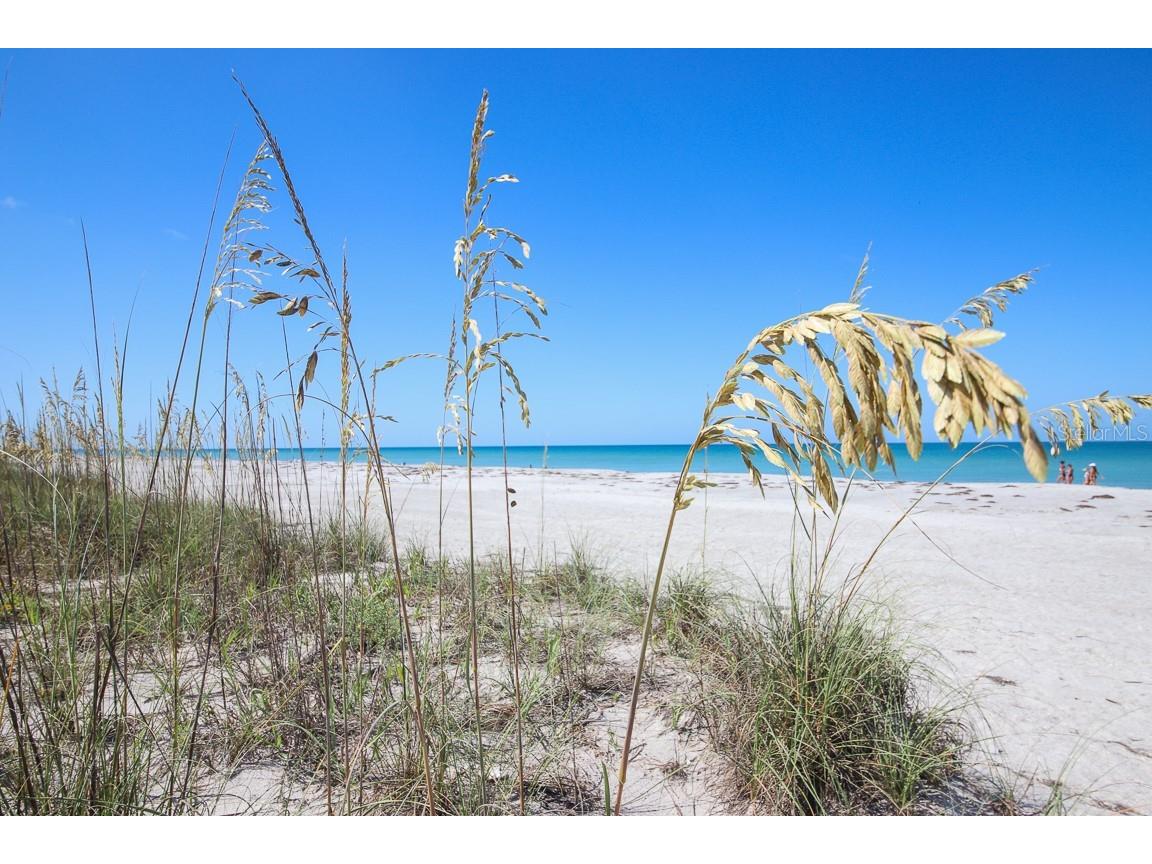 131 S Gulf Boulevard Placida FL 33946 - GULF OF AMERICA D6146714 image56