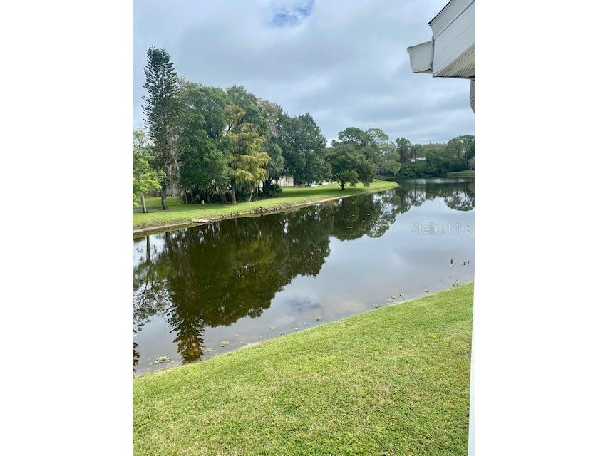131 Sabal Court #H Oldsmar FL 34677 TB8512691 image1