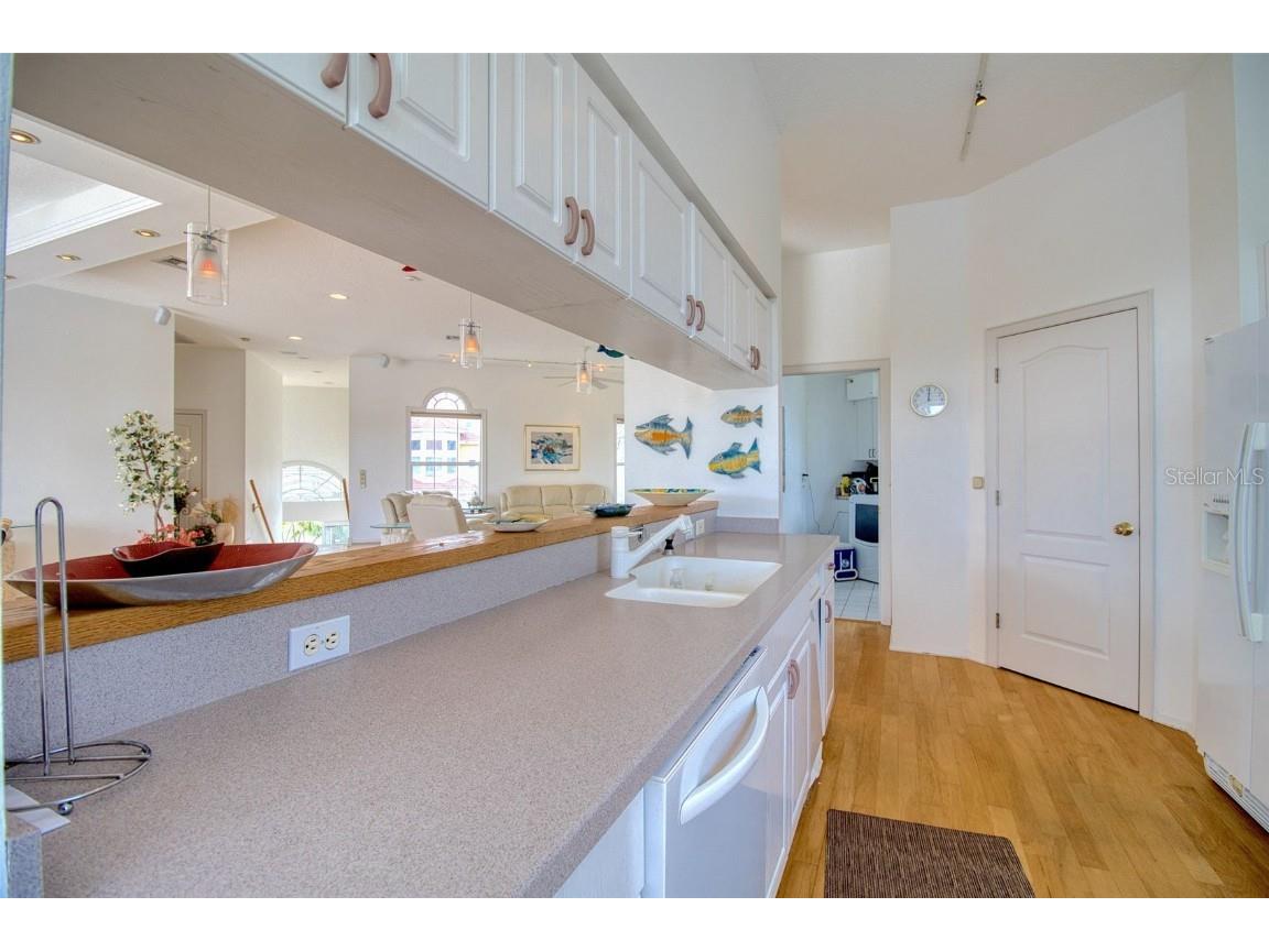 131 Sands Point Drive Tierra Verde FL 33715 U8246286 image10