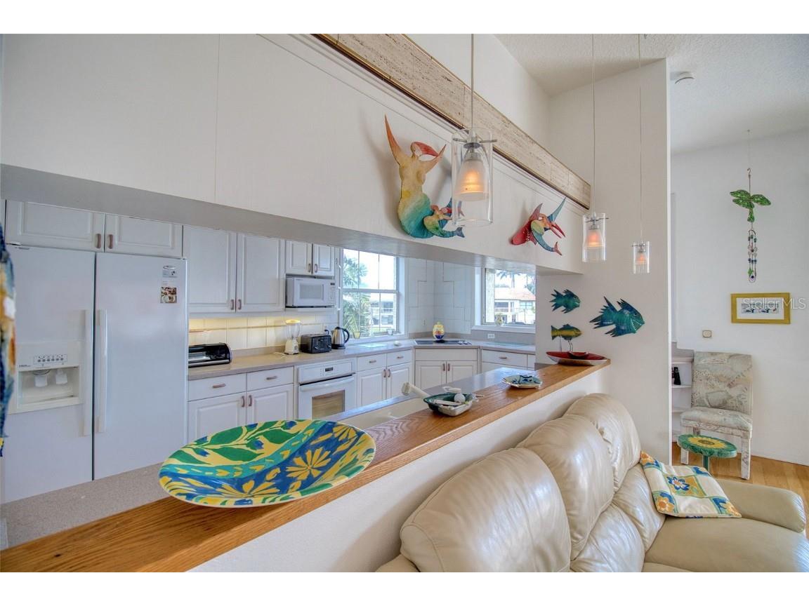 131 Sands Point Drive Tierra Verde FL 33715 U8246286 image9